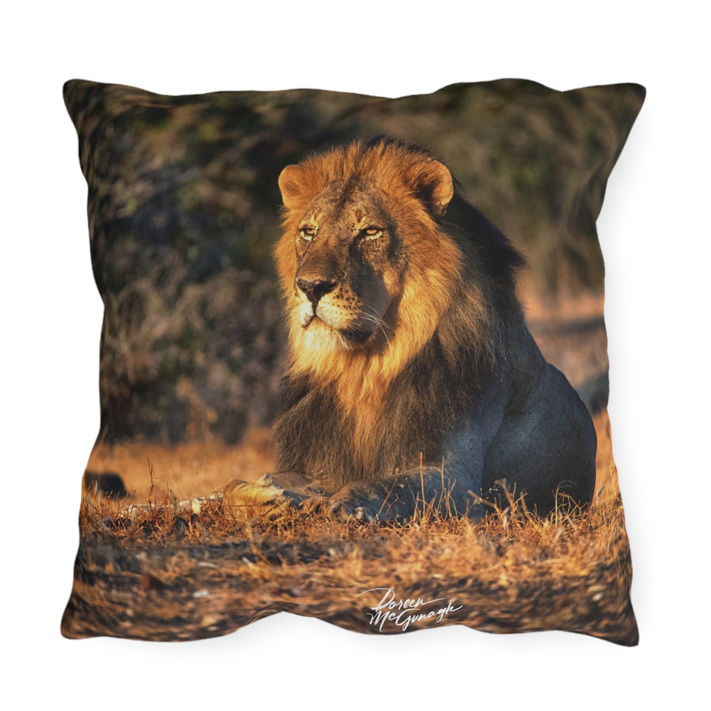 Enjoy Nature Outdoor Pillow with Lion King of Jungle – Artistic, Comfy, and Durable Decorative Accent