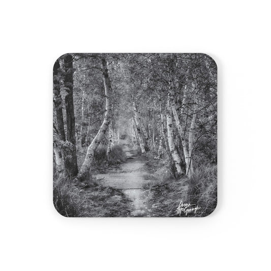 Nature Coasters, Absorbent Coasters, Coasters Colorful, Boho Coasters, Modern Coasters, Maine Silver Birch Forest Path