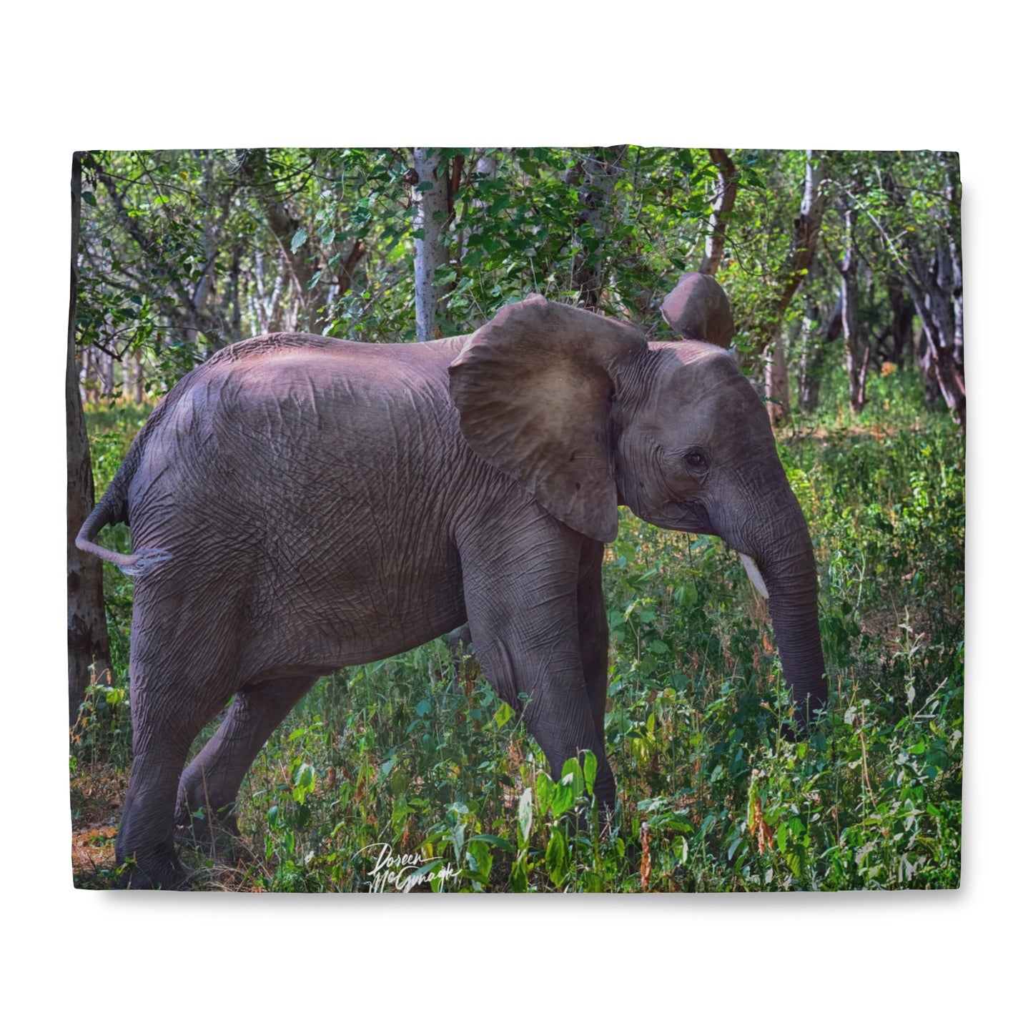 Enjoy Nature Elephant Baby in Forest Duvet Cover