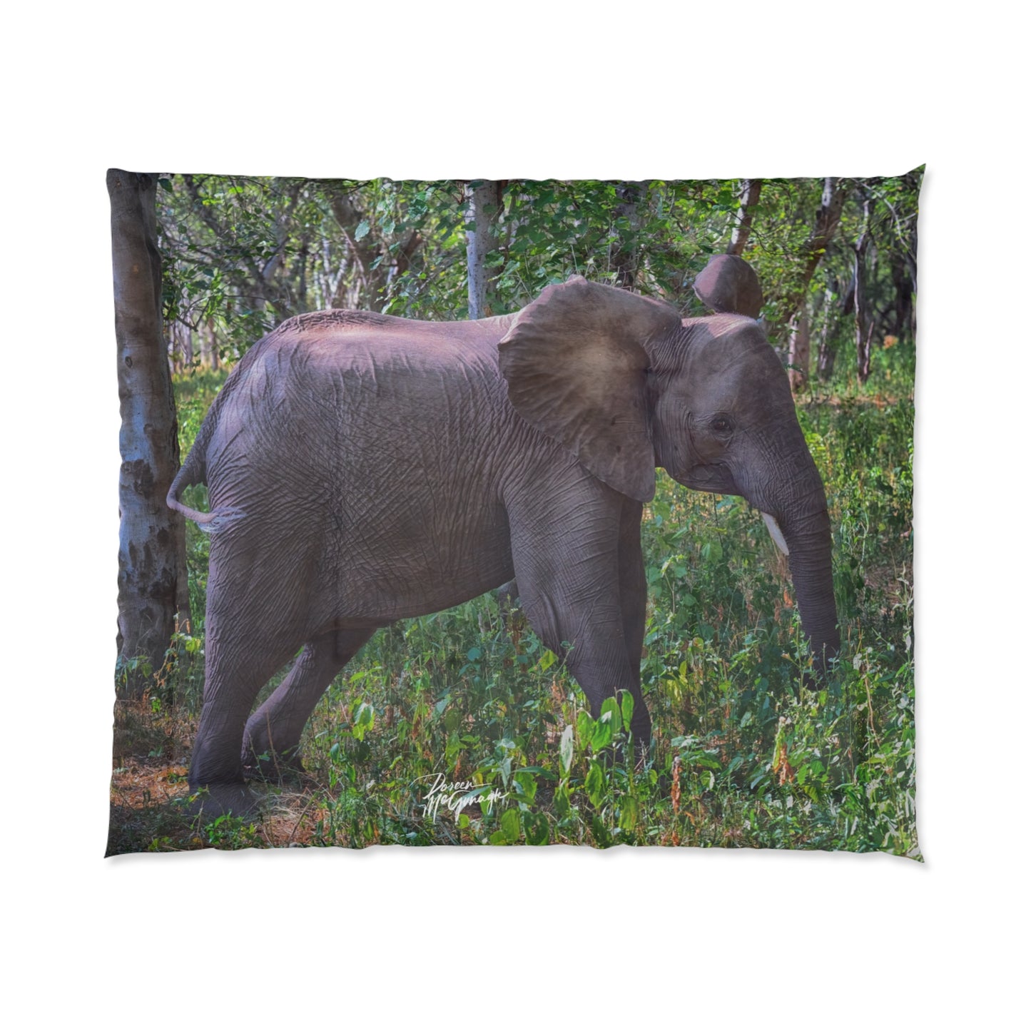 Elephant Baby in Forest Comforter by Enjoy Nature