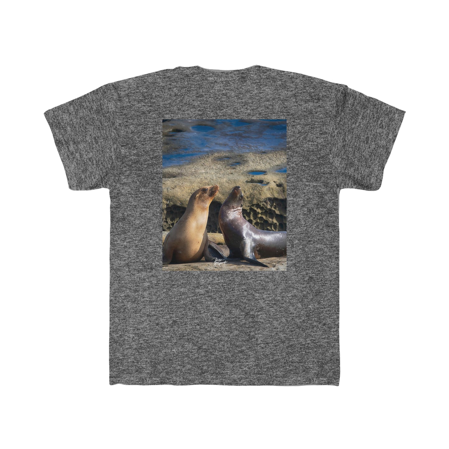 Youth T shirts Playful Serenade Sea Lions, t shirts for kids, inspired by nature