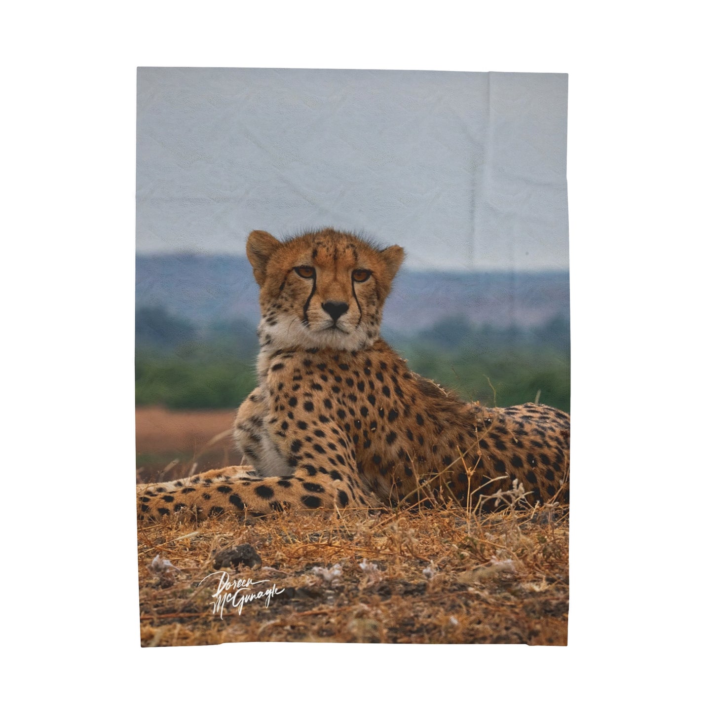 Velveteen Plush Blanket with Cheetah Portrait by Enjoy Nature