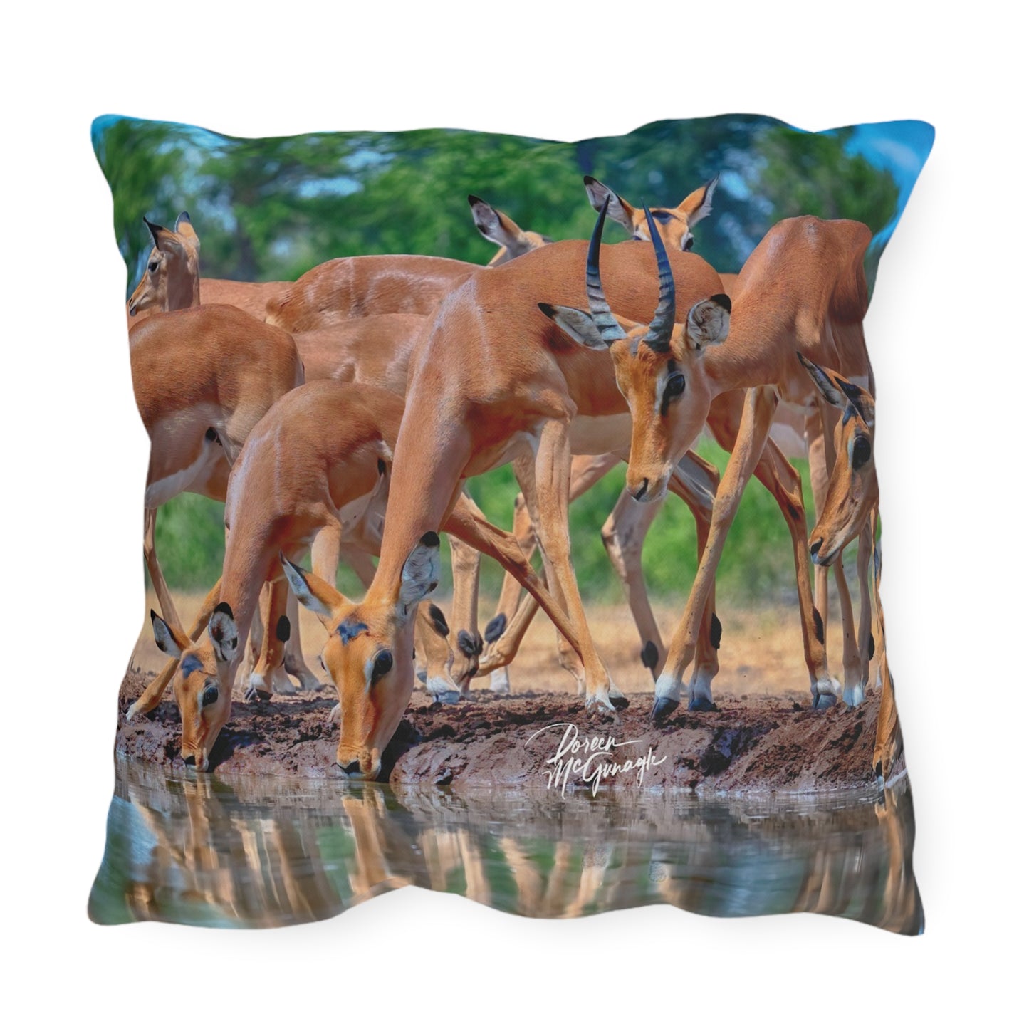 Enjoy Nature Outdoor Pillow with African Antelope at Watering Hole – Artistic, Comfy, and Durable Decorative Accent