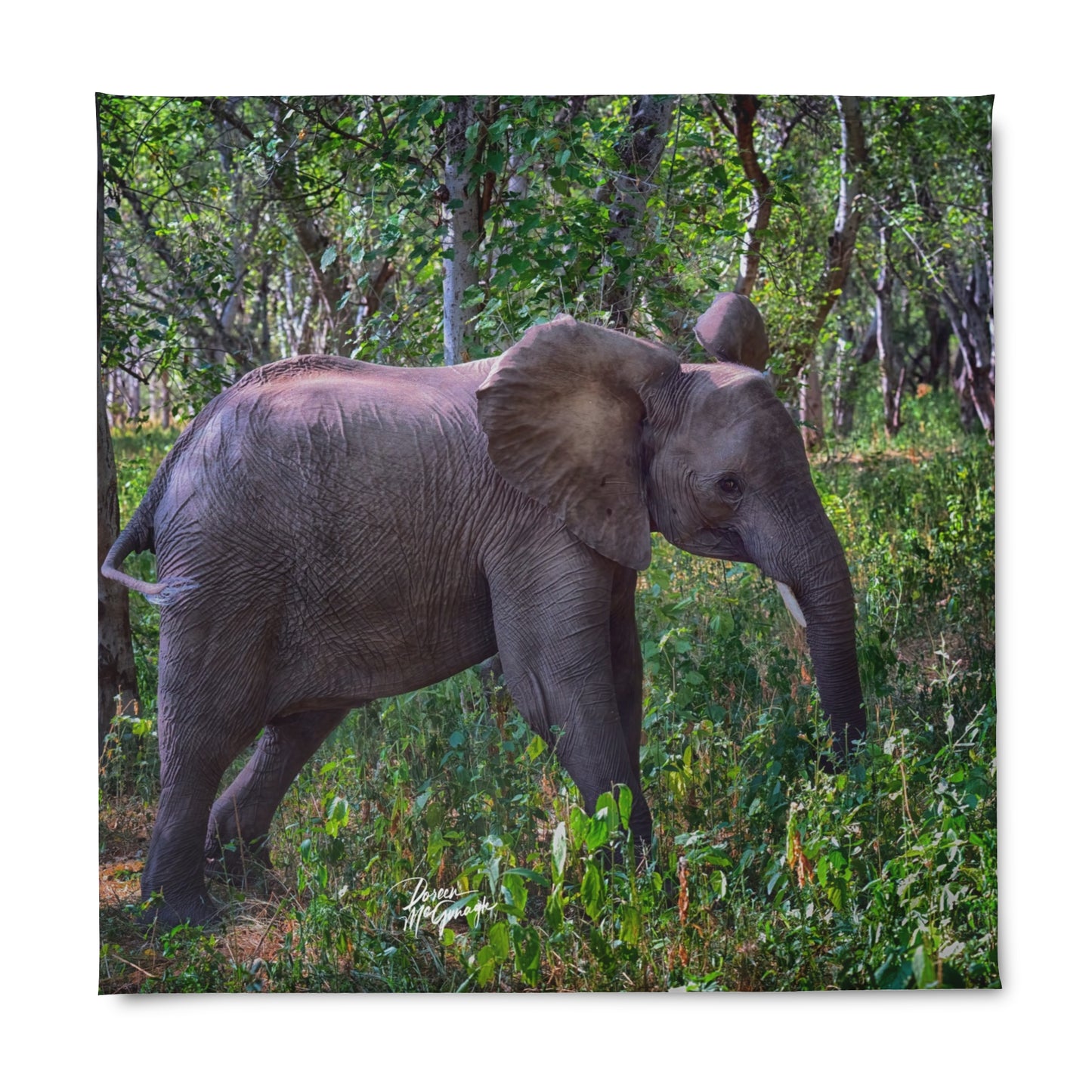 Enjoy Nature Elephant Baby in Forest Duvet Cover