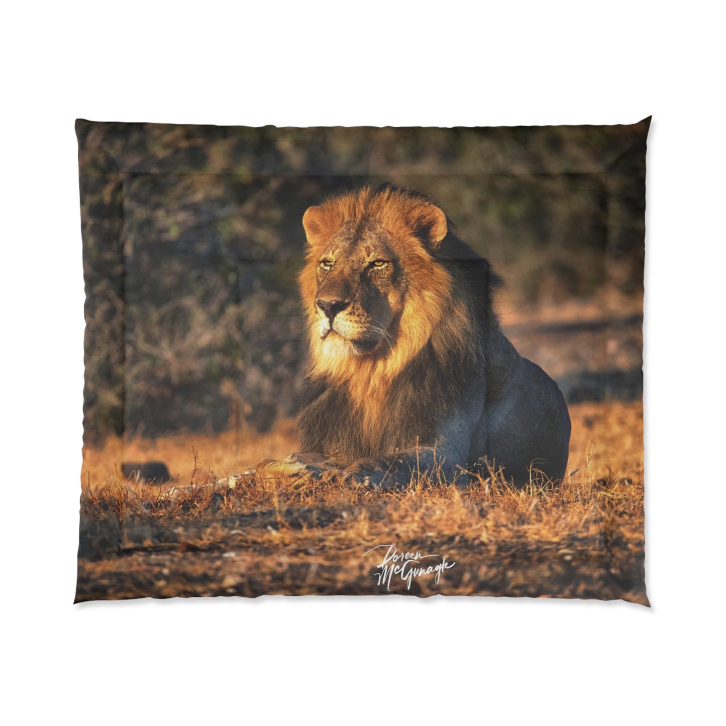 Lion King of the Jungle Comforter by Enjoy Nature