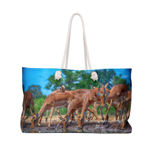 Weekender Tote Bag: African Antelope by Enjoy Nature