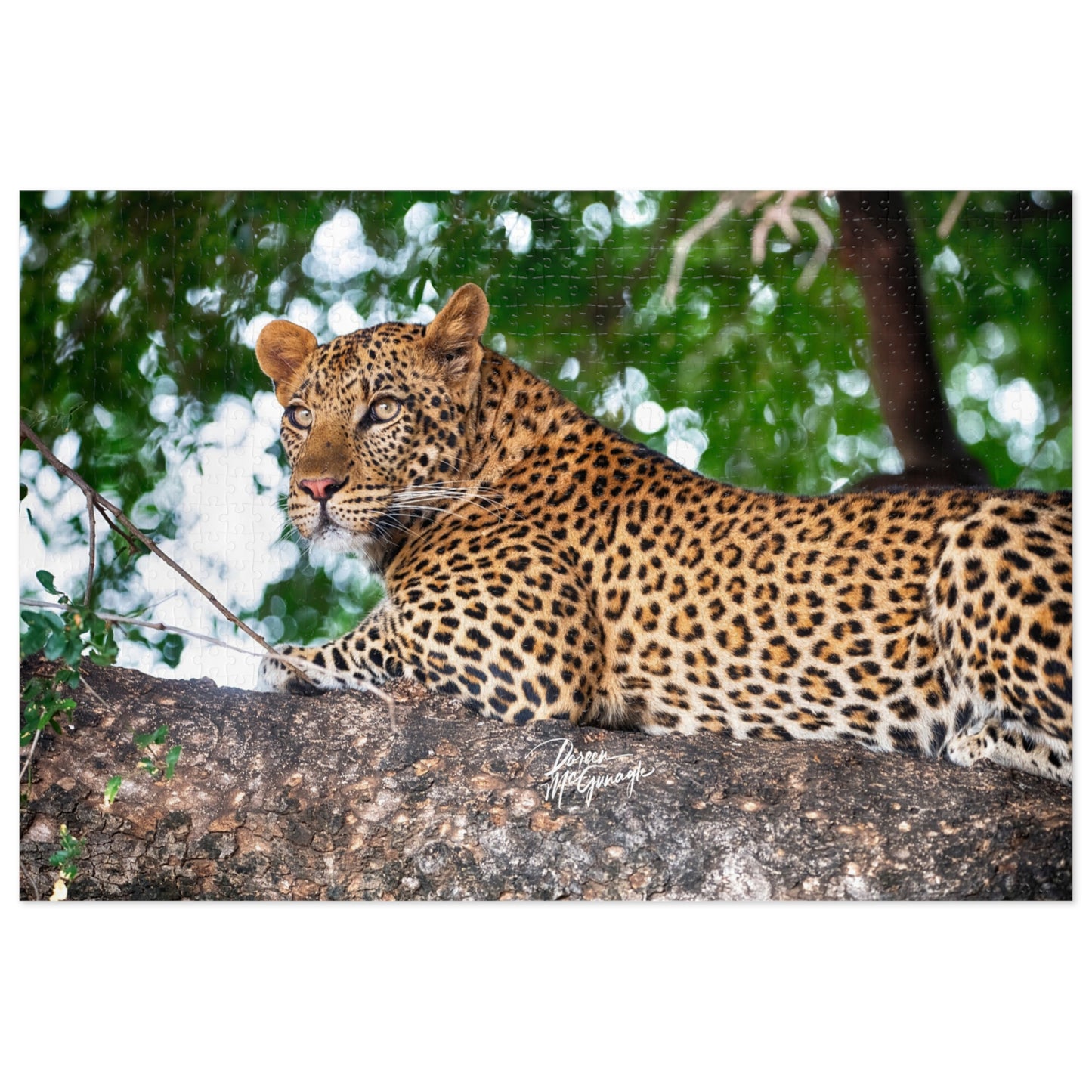 Leopard in Tree Jigsaw Puzzle by Enjoy Nature