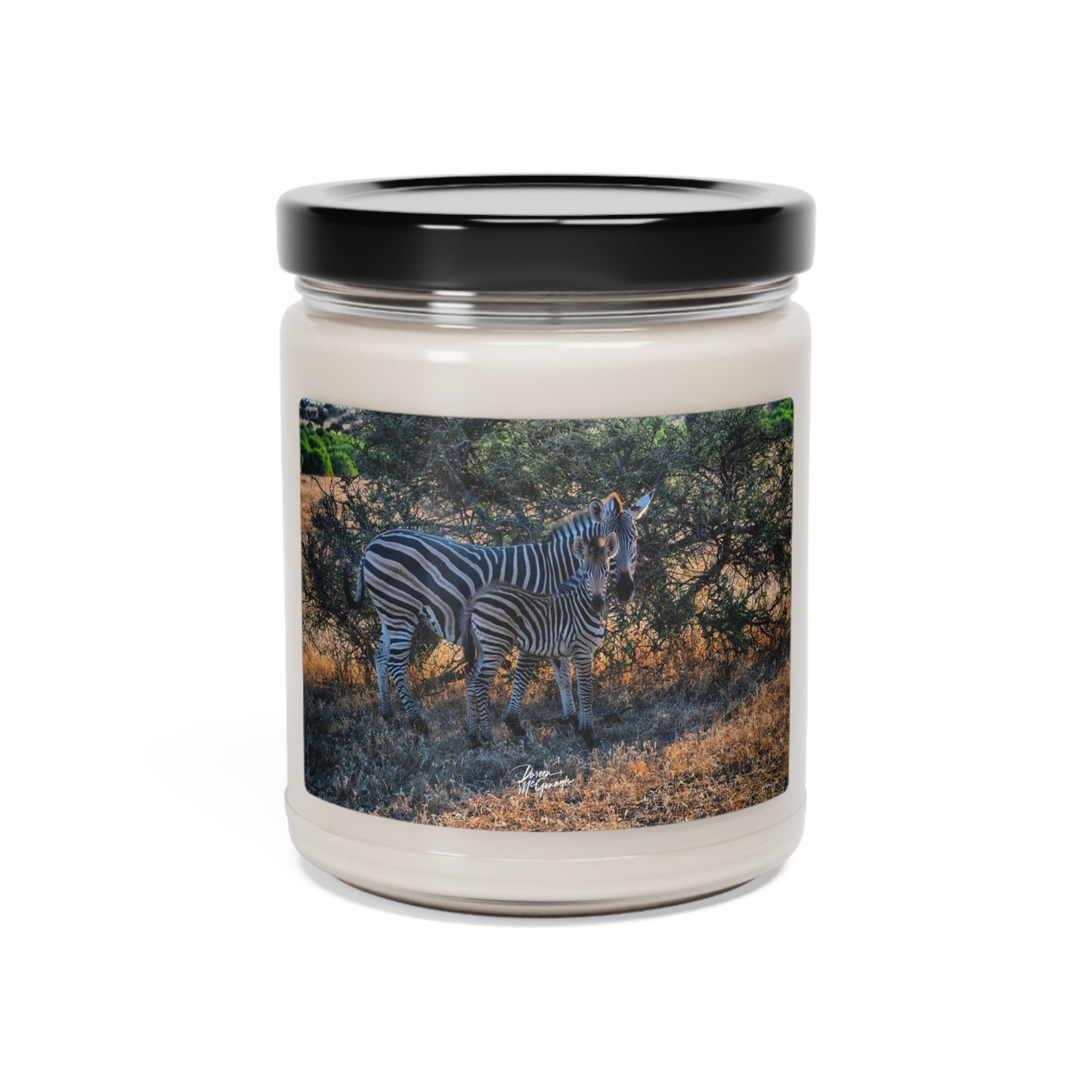 Experience the Pure Essence of Nature with the Baby Zebra Scented Soy Candle by Enjoy Nature