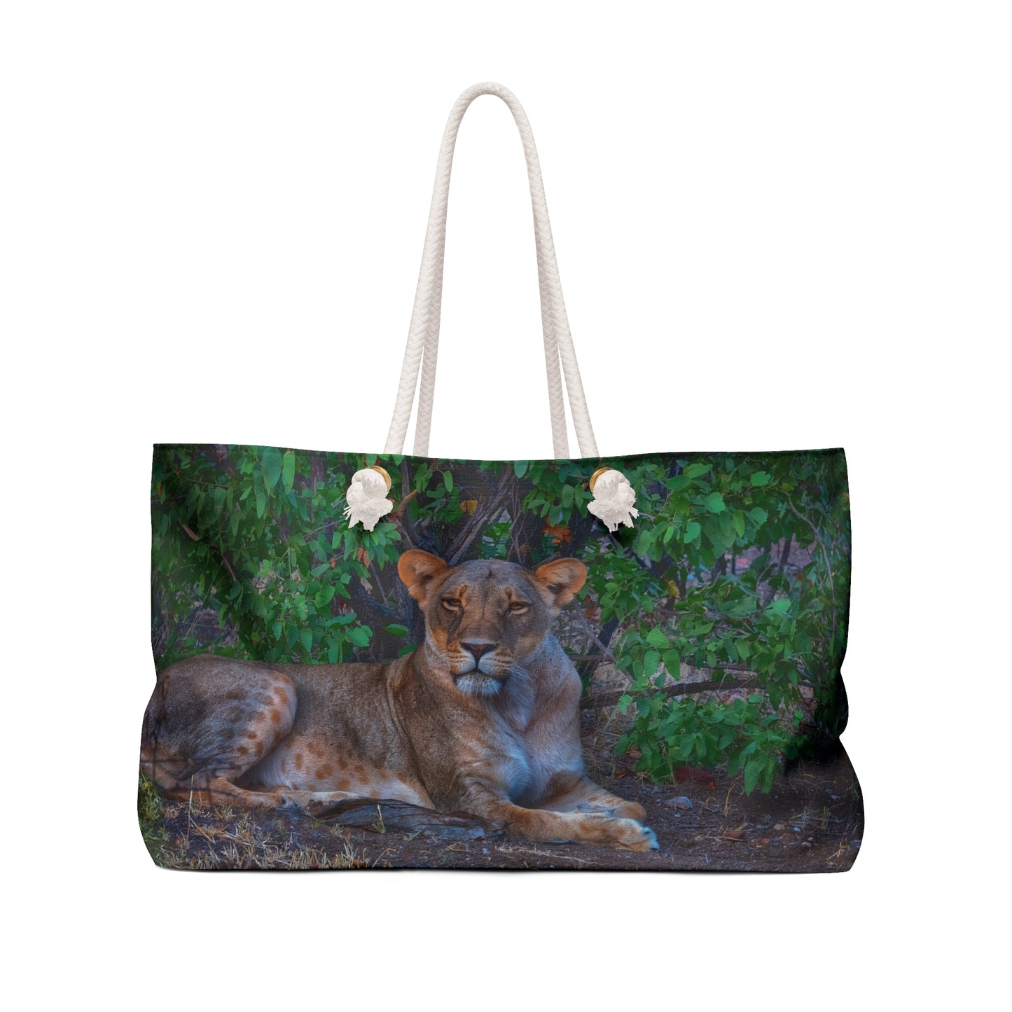 Weekender Tote Bag: Dreaming About a Lioness by Enjoy Nature