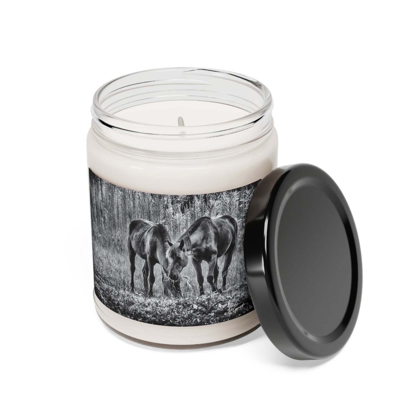 Wildlife Candle Design, Simple Nature Candle, Best Aroma Candle, Non toxic candles, nature candles -  Wild Horses in Black and White