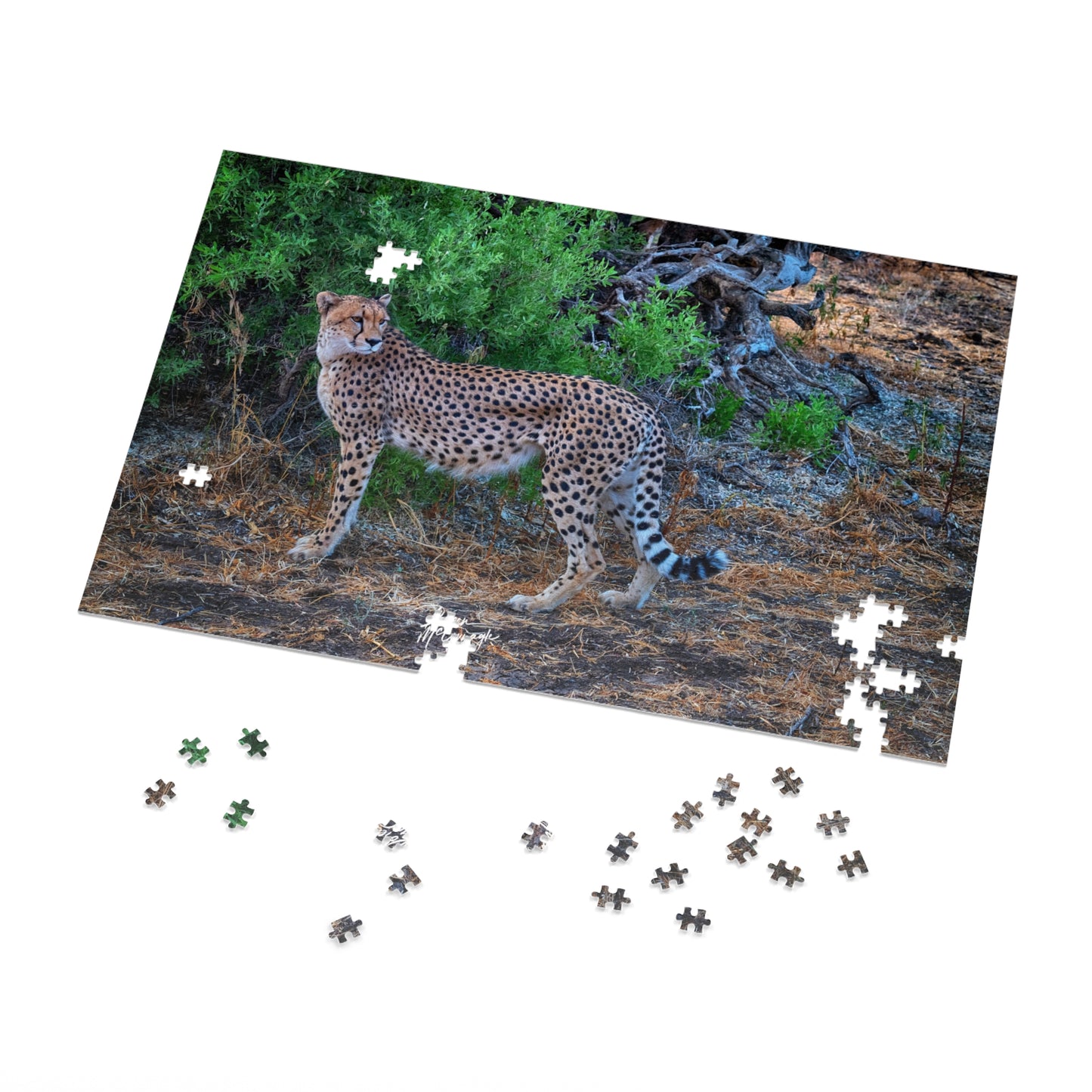 Cheetah Stand Jigsaw Puzzle by Enjoy Nature