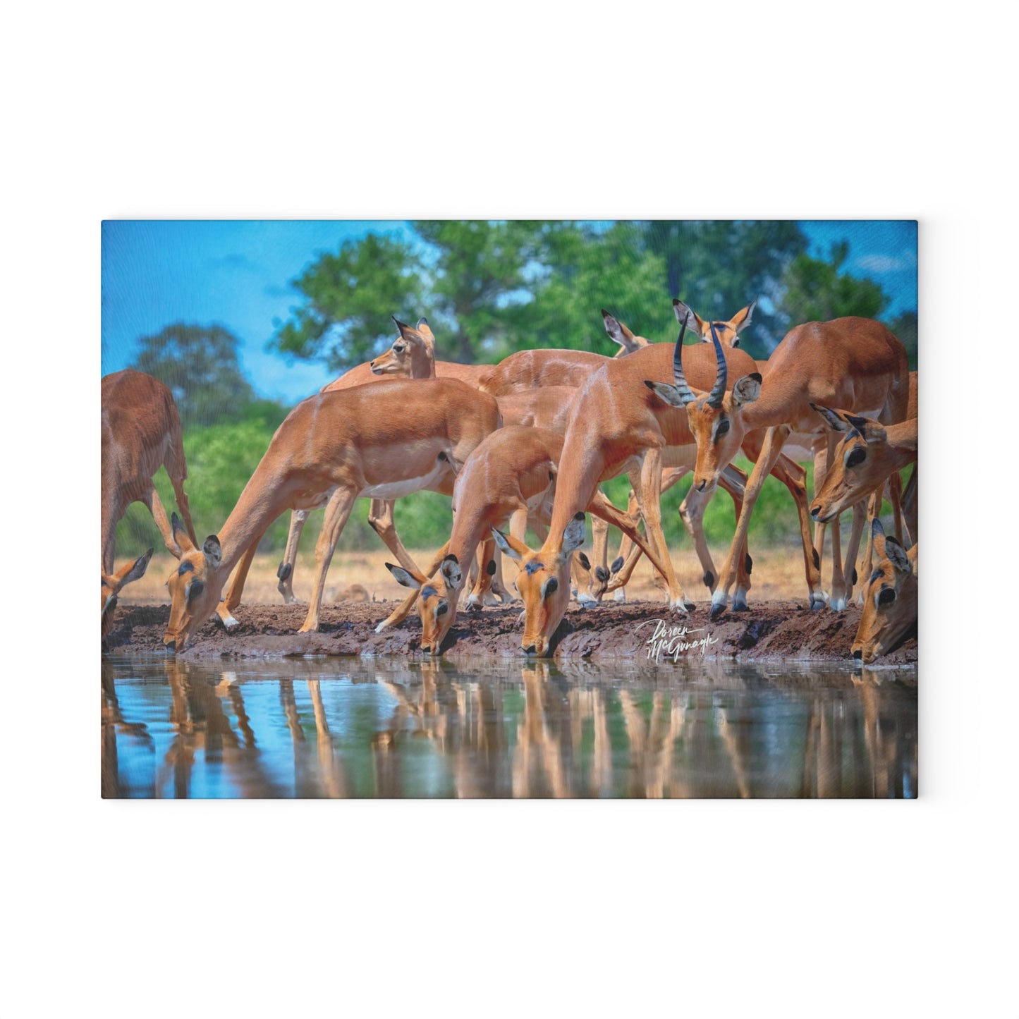 Enjoy Nature Glass Charcuterie Cutting Board with African Antelope at Watering Hole Design