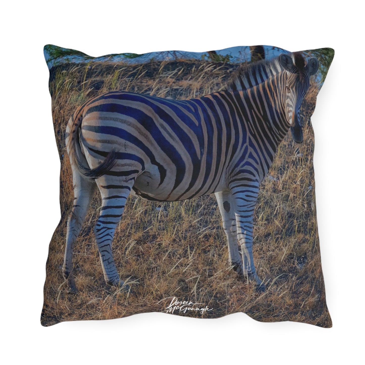 Enjoy Nature Outdoor Pillow with Baby Zebra – Artistic, Comfy, and Durable Decorative Accent