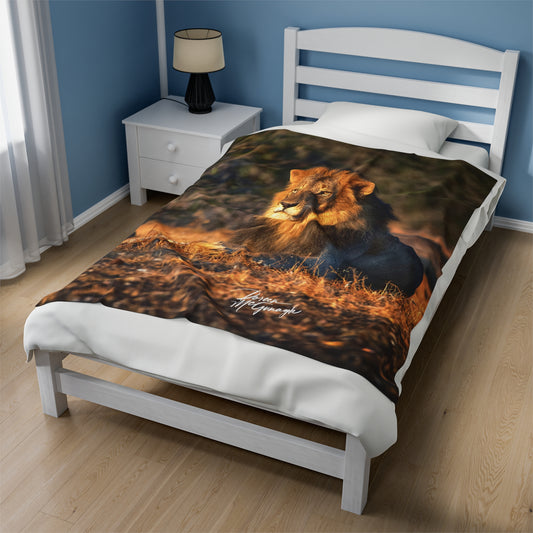 Velveteen Plush Blanket with Lion King of Jungle by Enjoy Nature