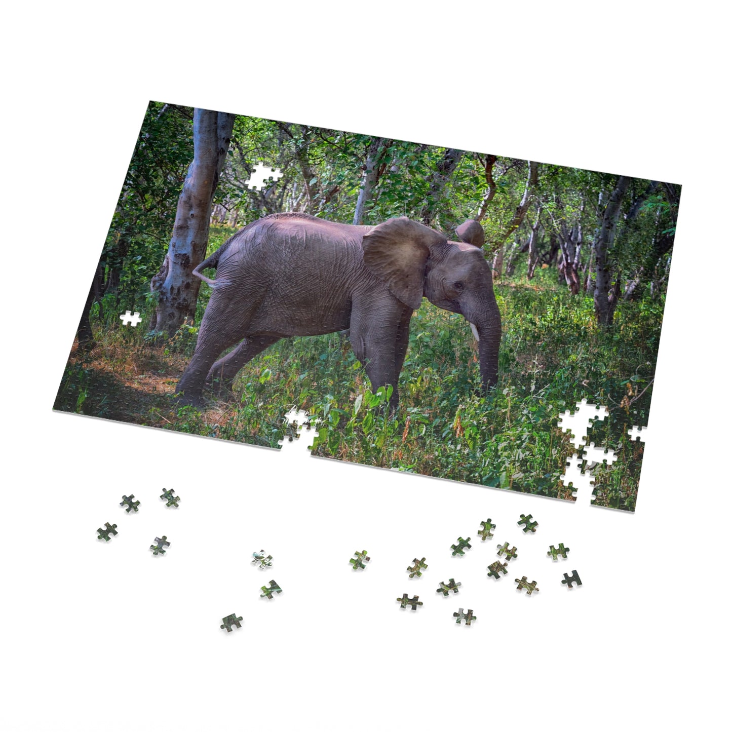 Baby Elephant Walk in Forest Jigsaw Puzzle by Enjoy Nature