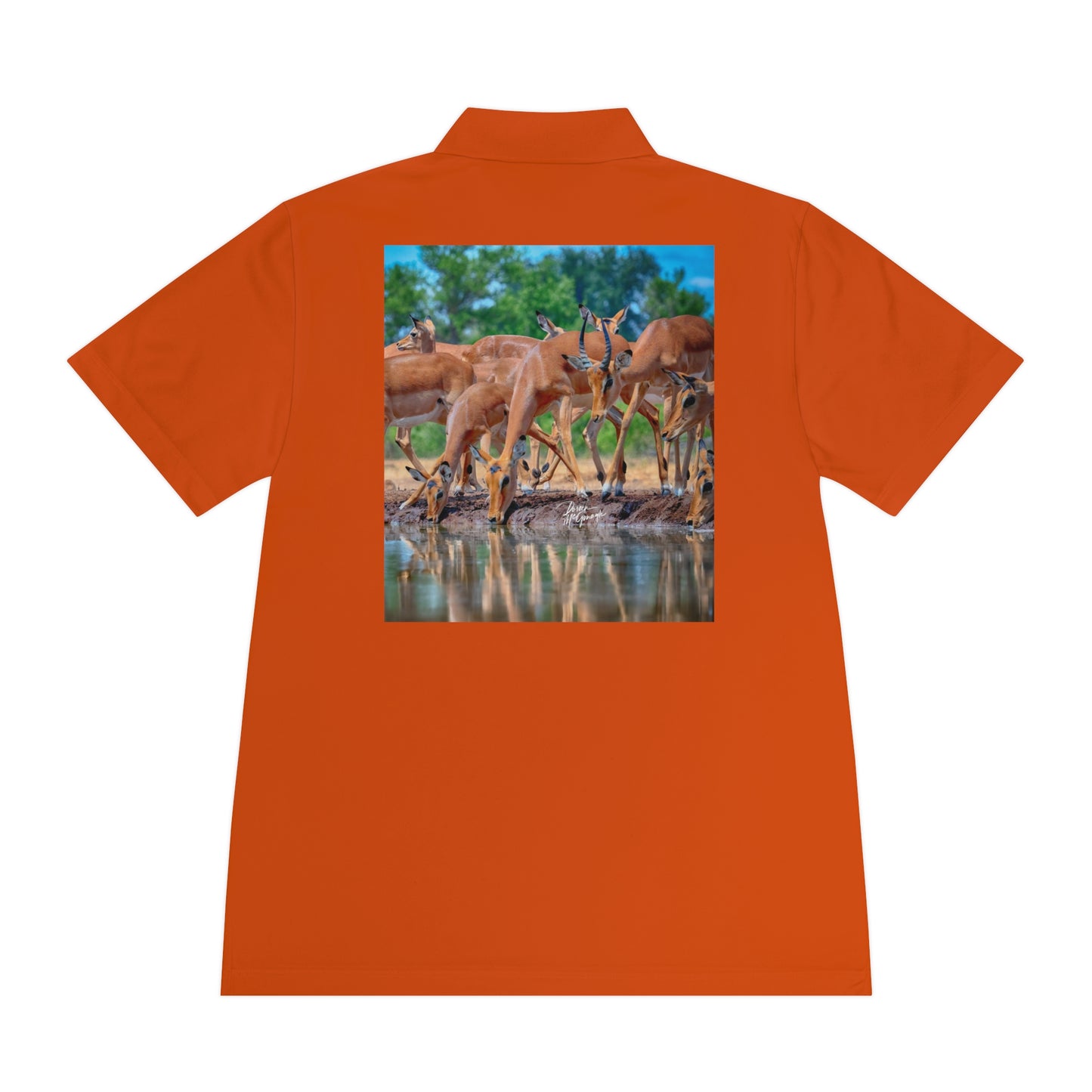 Men's Performance Polo Shirt - African Antelope by Enjoy Nature