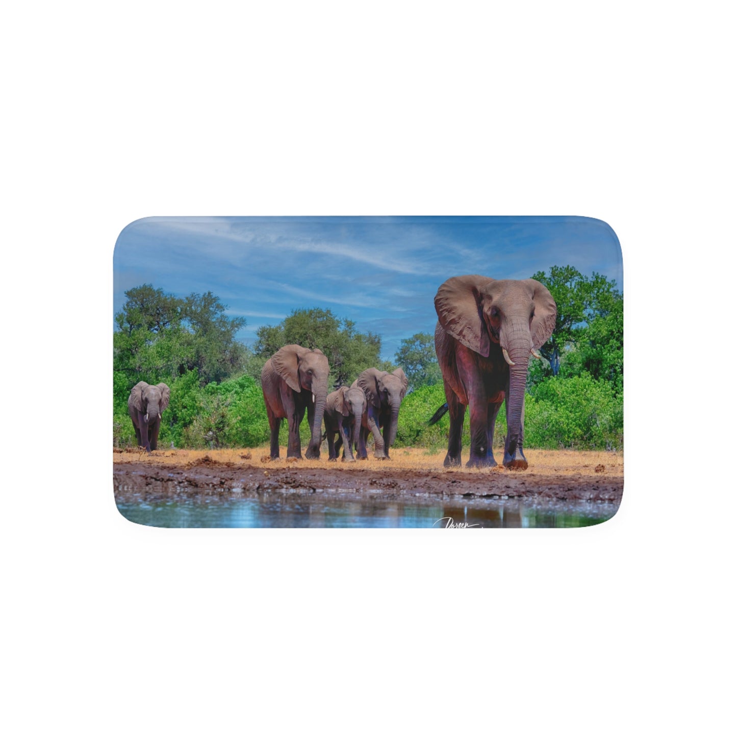 Elephant Family at Watering Hole Memory Foam Bath Mat from Enjoy Nature