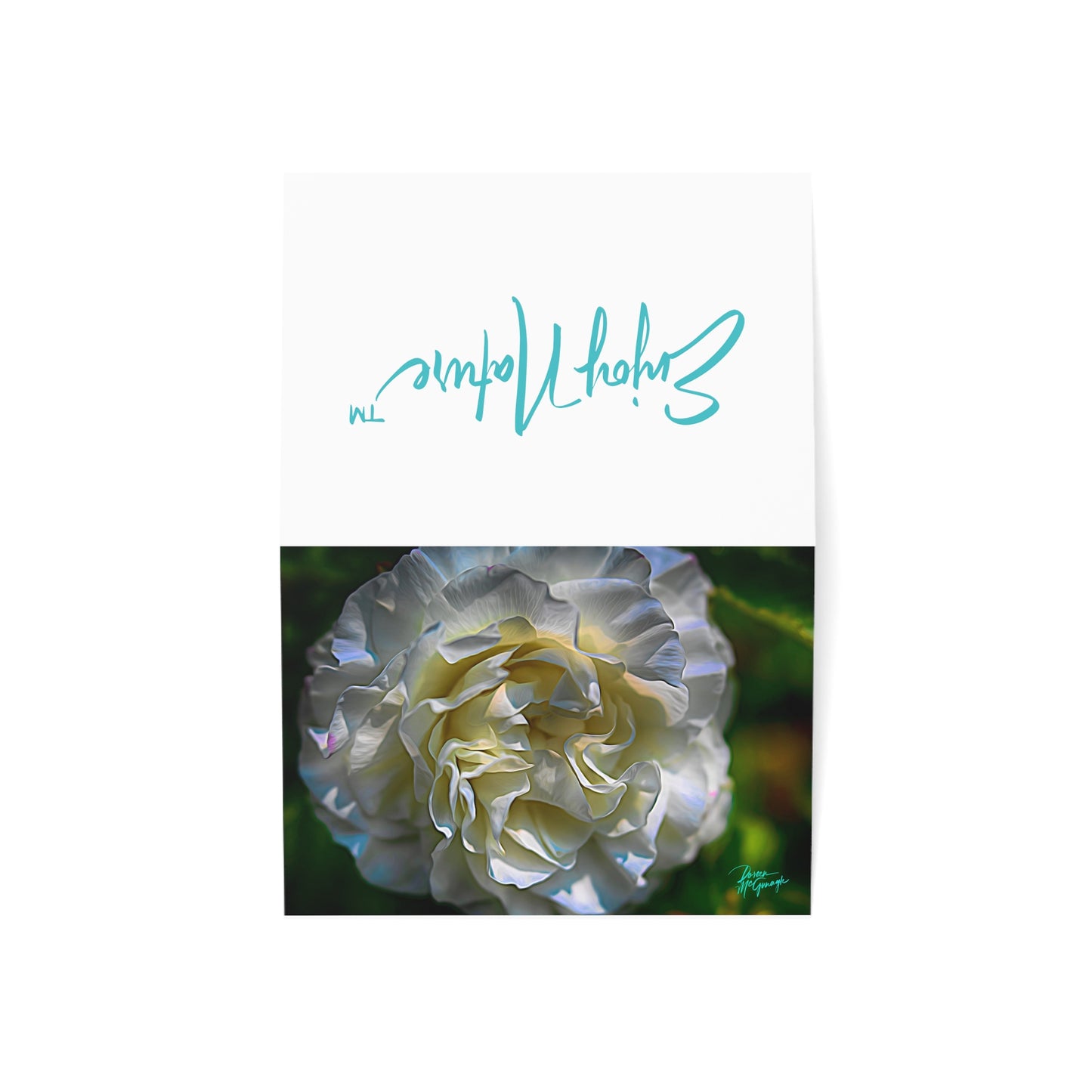 Photo note cards, Nova Scotia White Blooming Rose, boxed note Cards (10 pcs)