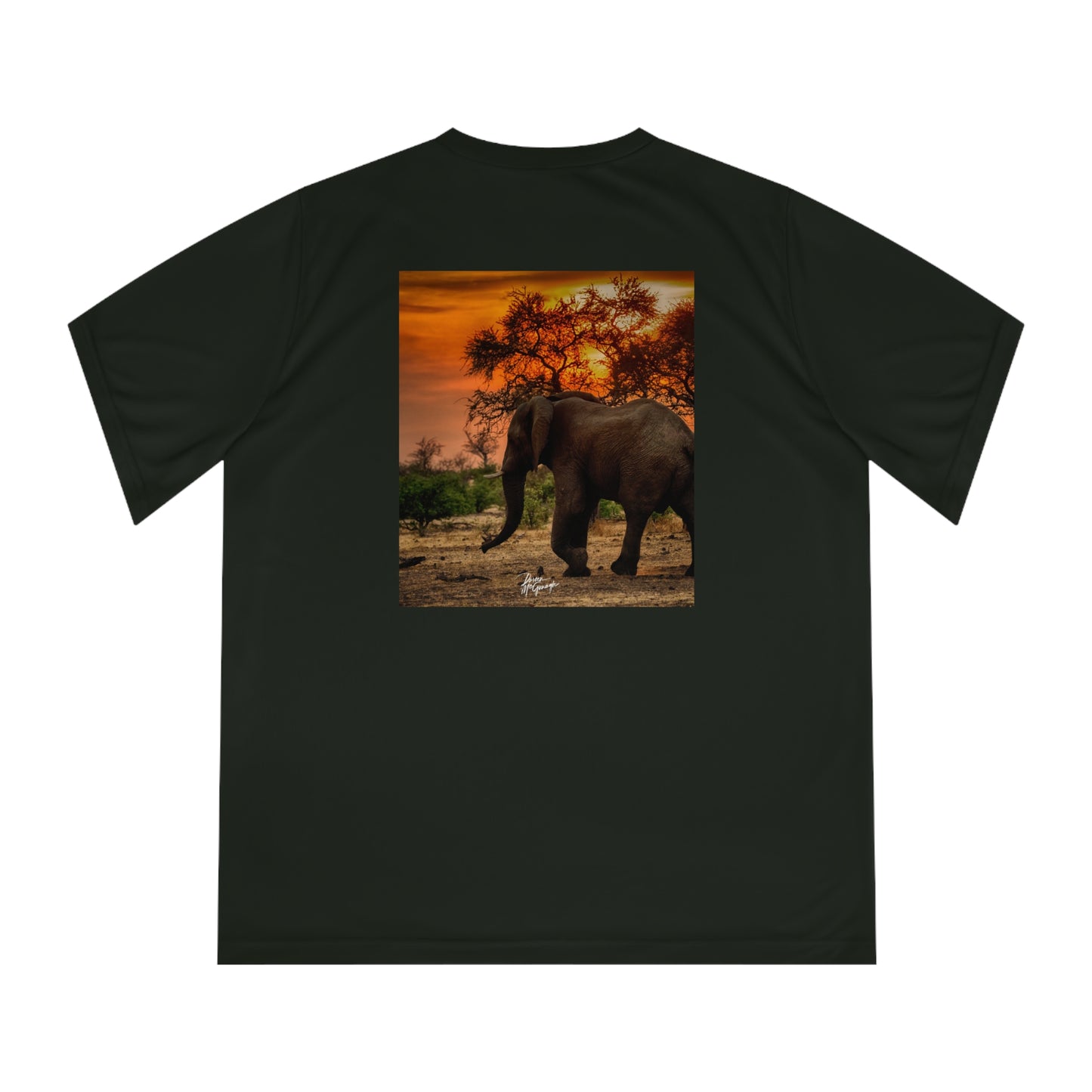 Women's Performance V-Neck T-Shirt - Spirited Elephant at Sunset by Enjoy Nature