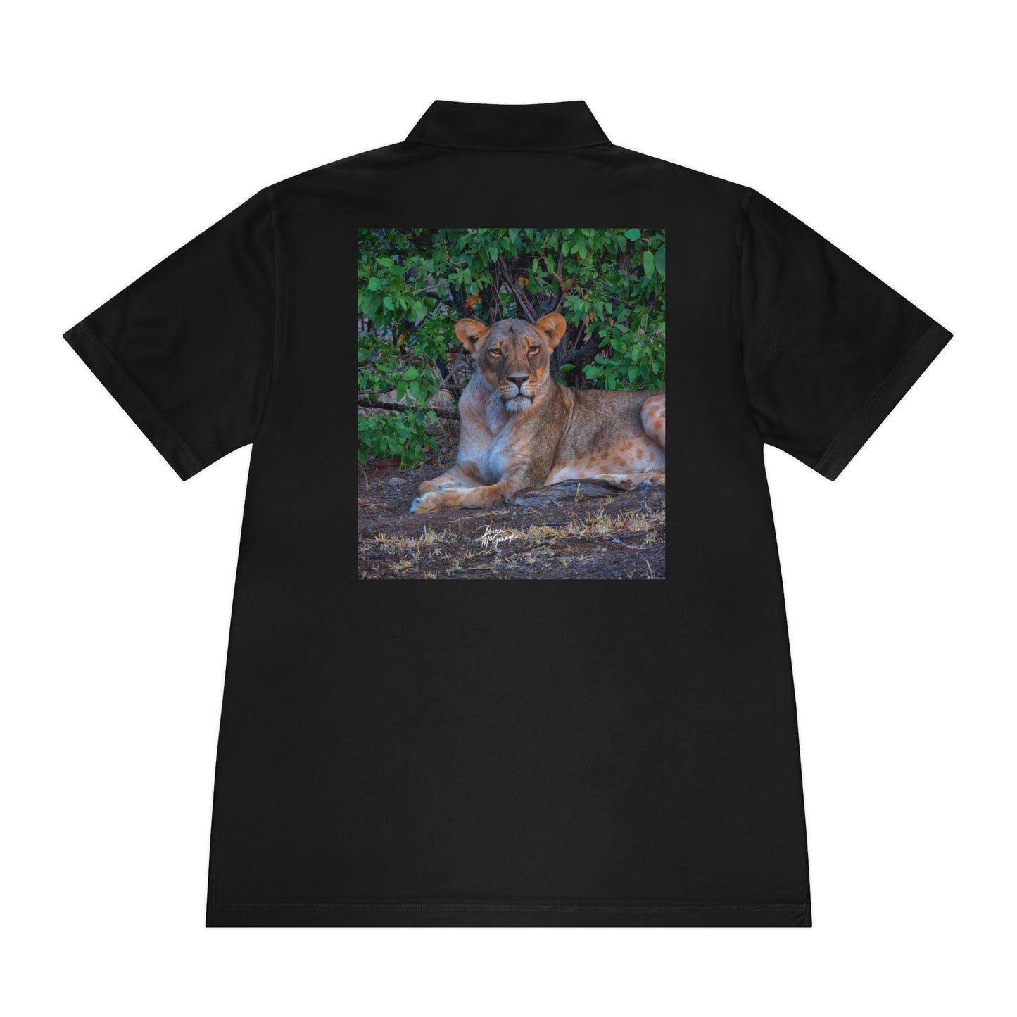 Men's Performance Polo Shirt - Dreaming of a Lioness by Enjoy Nature