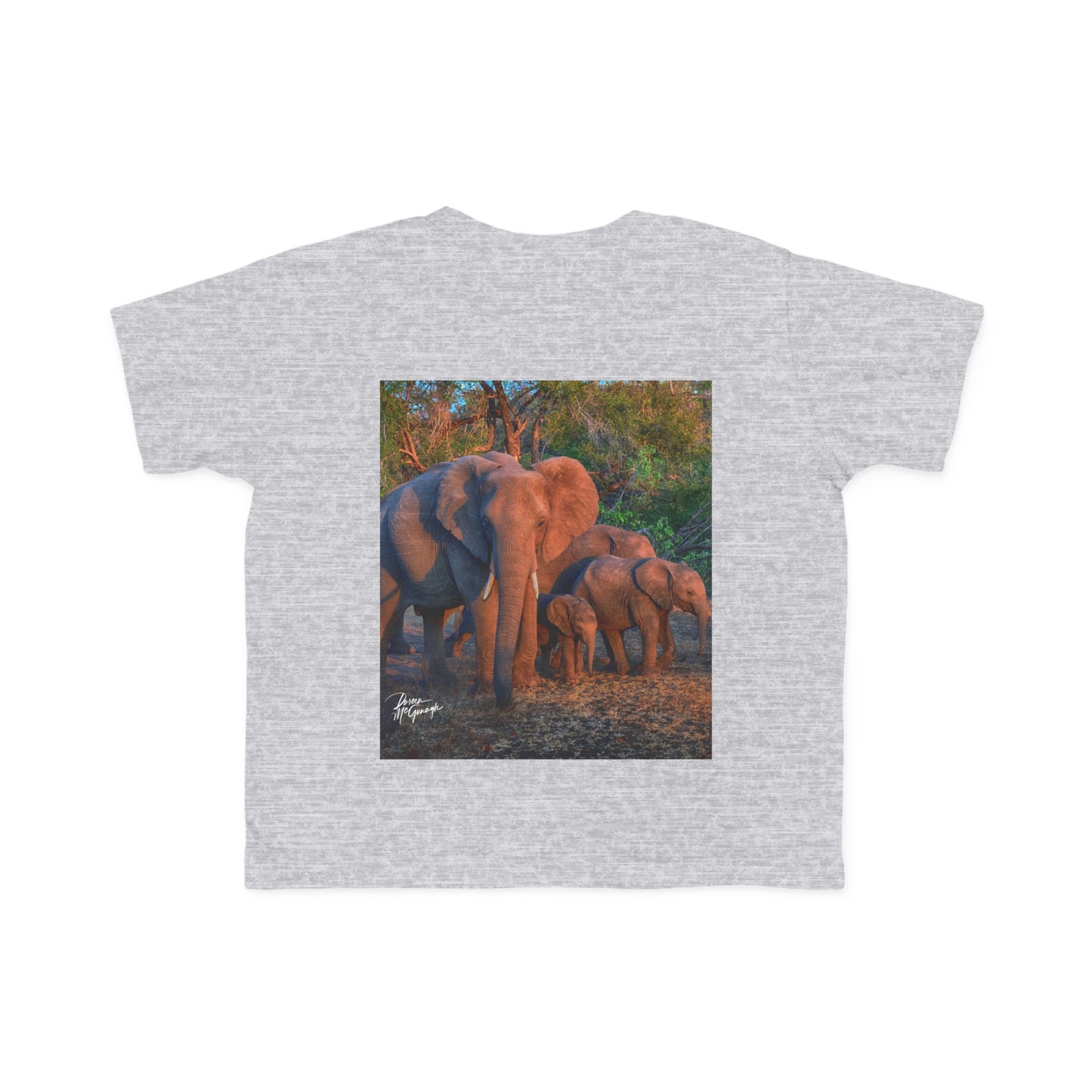 Enjoy Nature Toddler Tee - Elephant Family