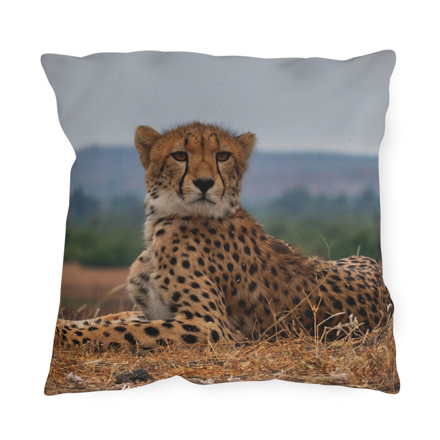 Enjoy Nature Outdoor Pillow with Cheetah Portrait – Artistic, Comfy, and Durable Decorative Accent