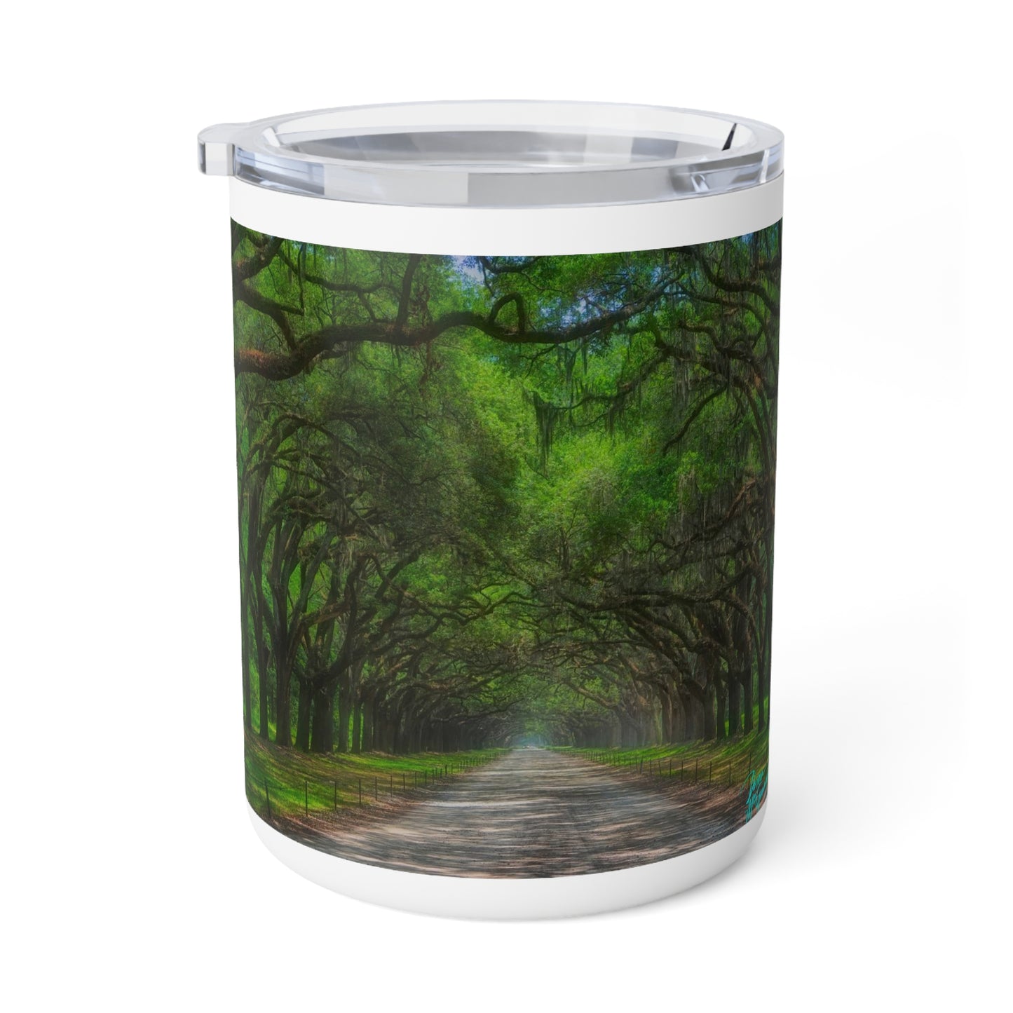 Eco friendly, Live Oak Avenue, 10 oz. Insulated Travel Mug