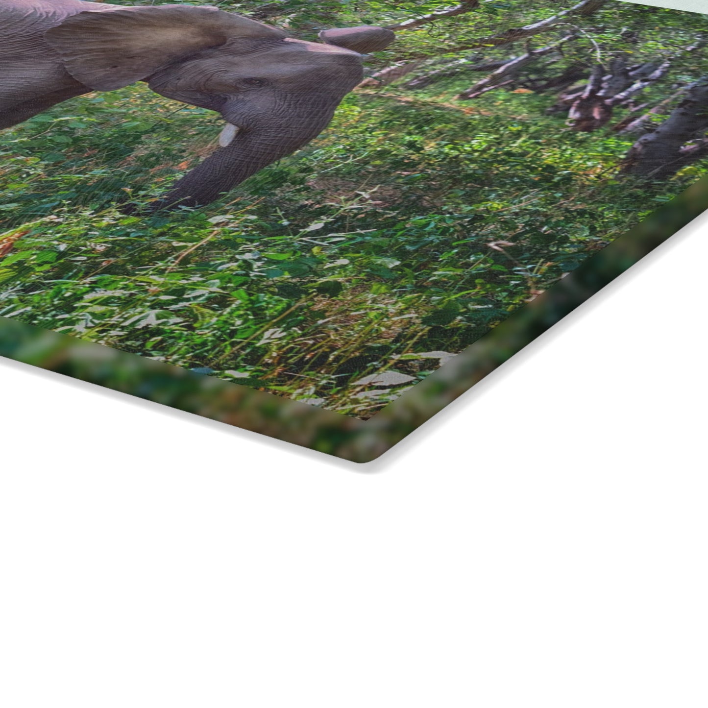 Enjoy Nature Glass Charcuterie Cutting Board with Elephant Baby in Forest Design