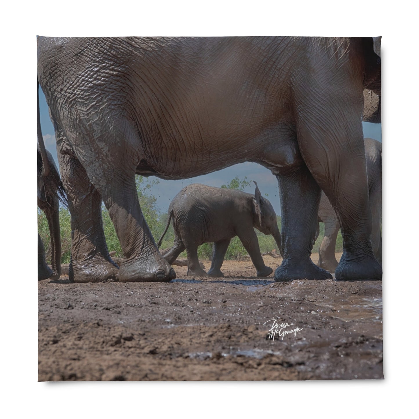 Enjoy Nature Elephant Baby Duvet Cover