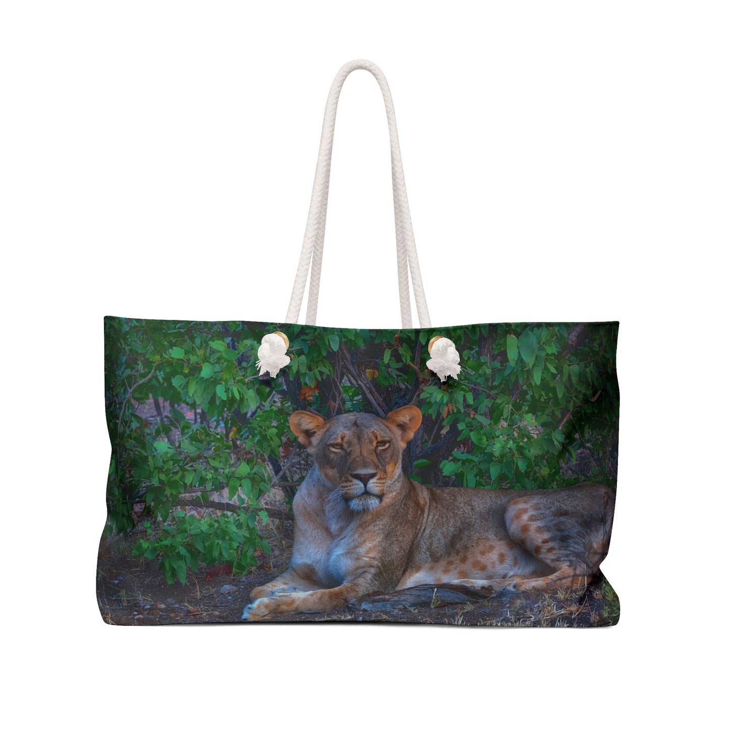 Weekender Tote Bag: Dreaming About a Lioness by Enjoy Nature