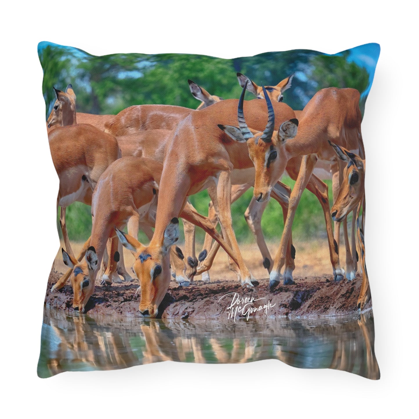 Enjoy Nature Outdoor Pillow with African Antelope at Watering Hole – Artistic, Comfy, and Durable Decorative Accent