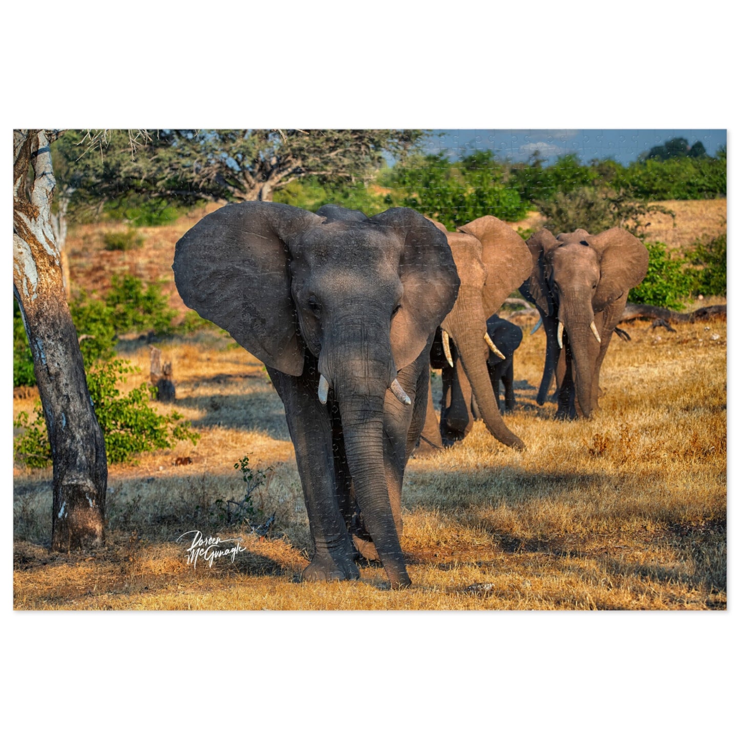 Elephant Family on Savanna Jigsaw Puzzle by Enjoy Nature