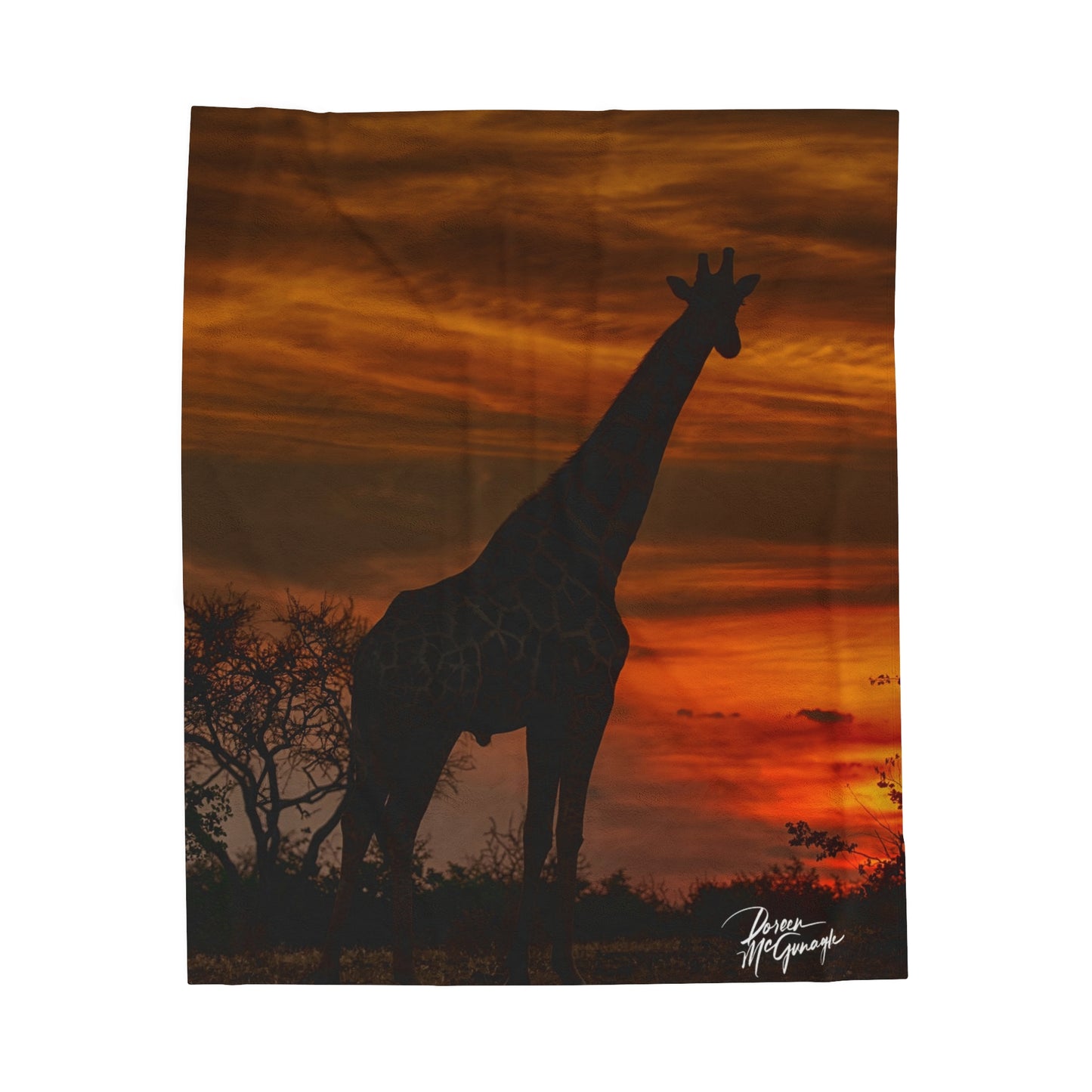 Velveteen Plush Blanket with Giraffe Silhouette at Sunset by Enjoy Nature