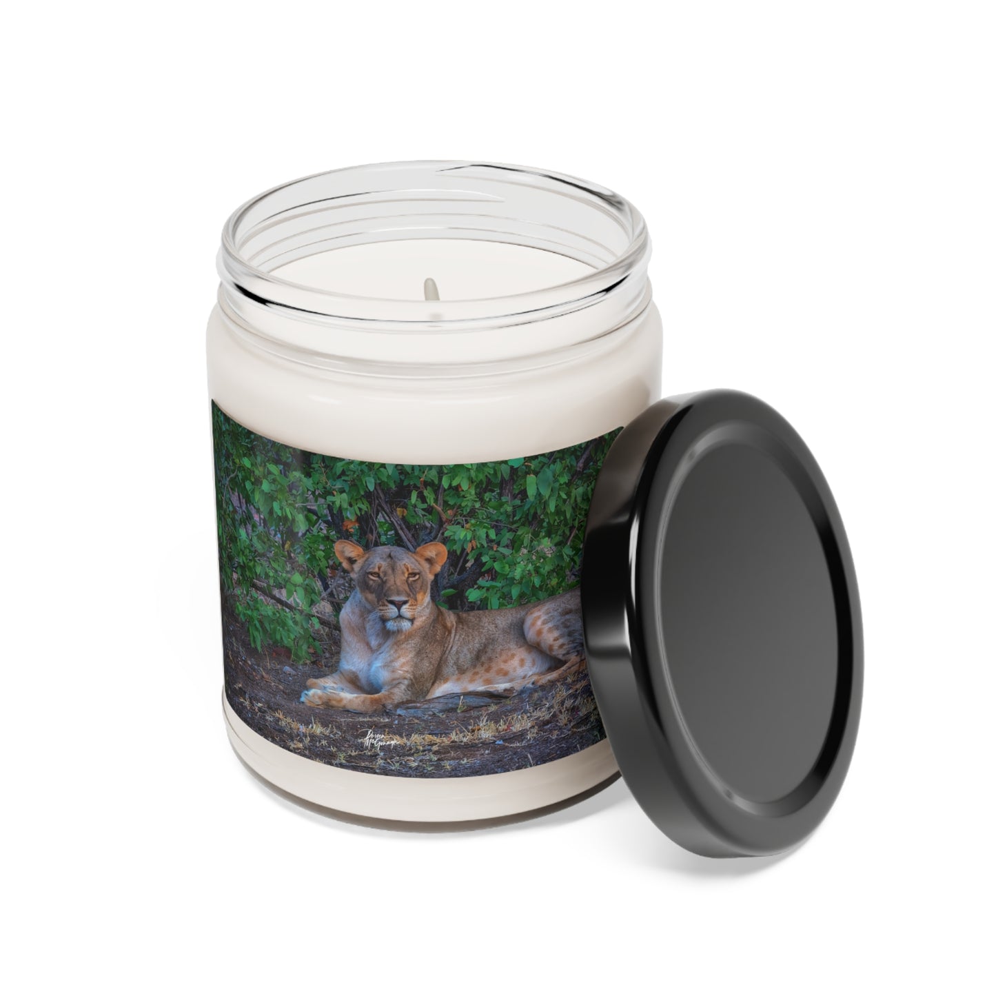 Experience the Pure Essence of Nature with the Dreaming About a Lioness Scented Soy Candle by Enjoy Nature