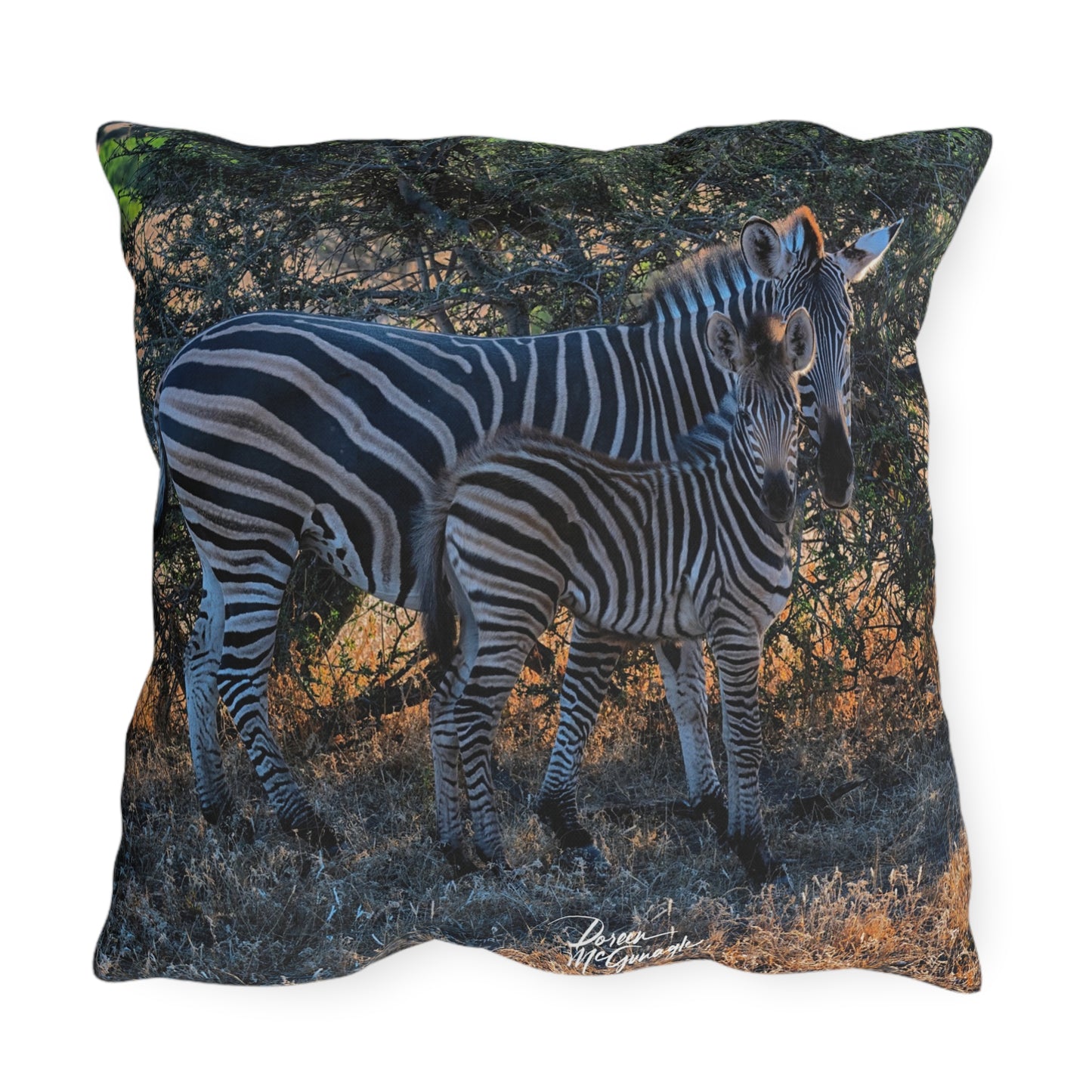 Enjoy Nature Outdoor Pillow with Zebra Stripes – Artistic, Comfy, and Durable Decorative Accent