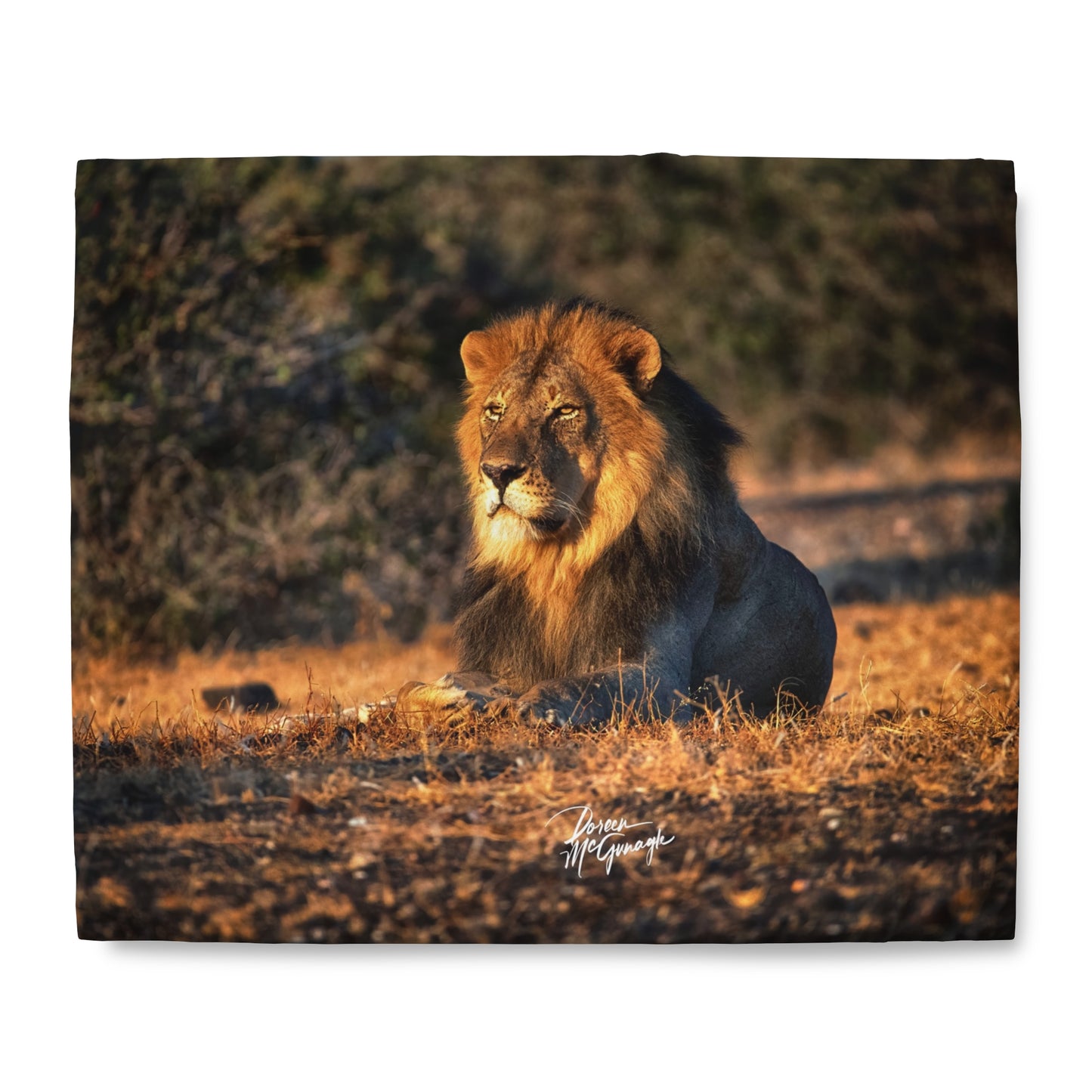 Enjoy Nature Lion King of Jungle Duvet Cover