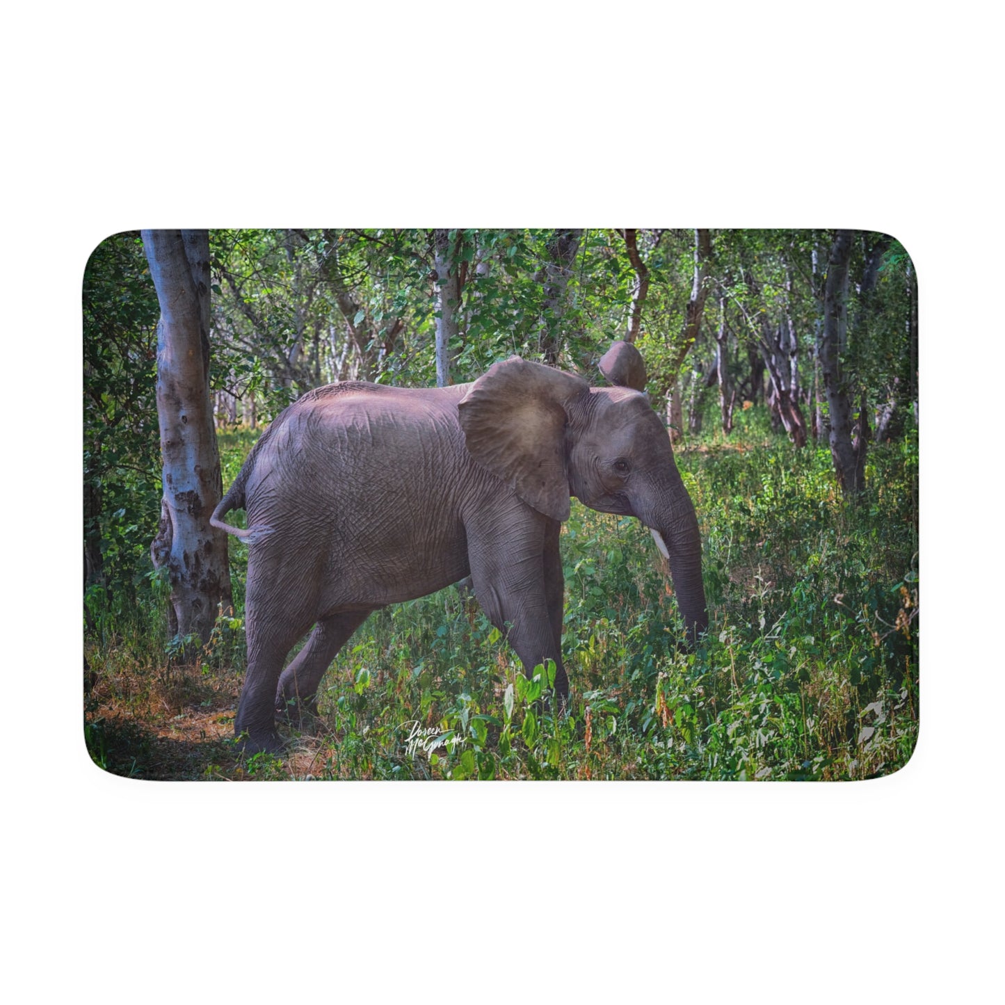 Baby Elephant in Forest Memory Foam Bath Mat