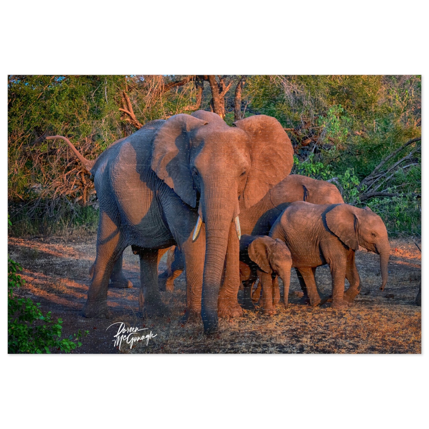 Elephant Family on Savanna Jigsaw Puzzle by Enjoy Nature