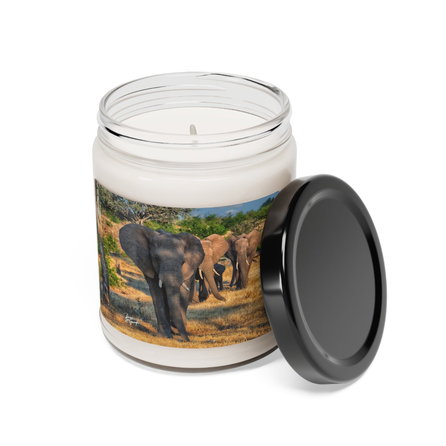 Experience the Pure Essence of Nature with the Elephant Walking Through African Savanna Scented Soy Candle by Enjoy Nature