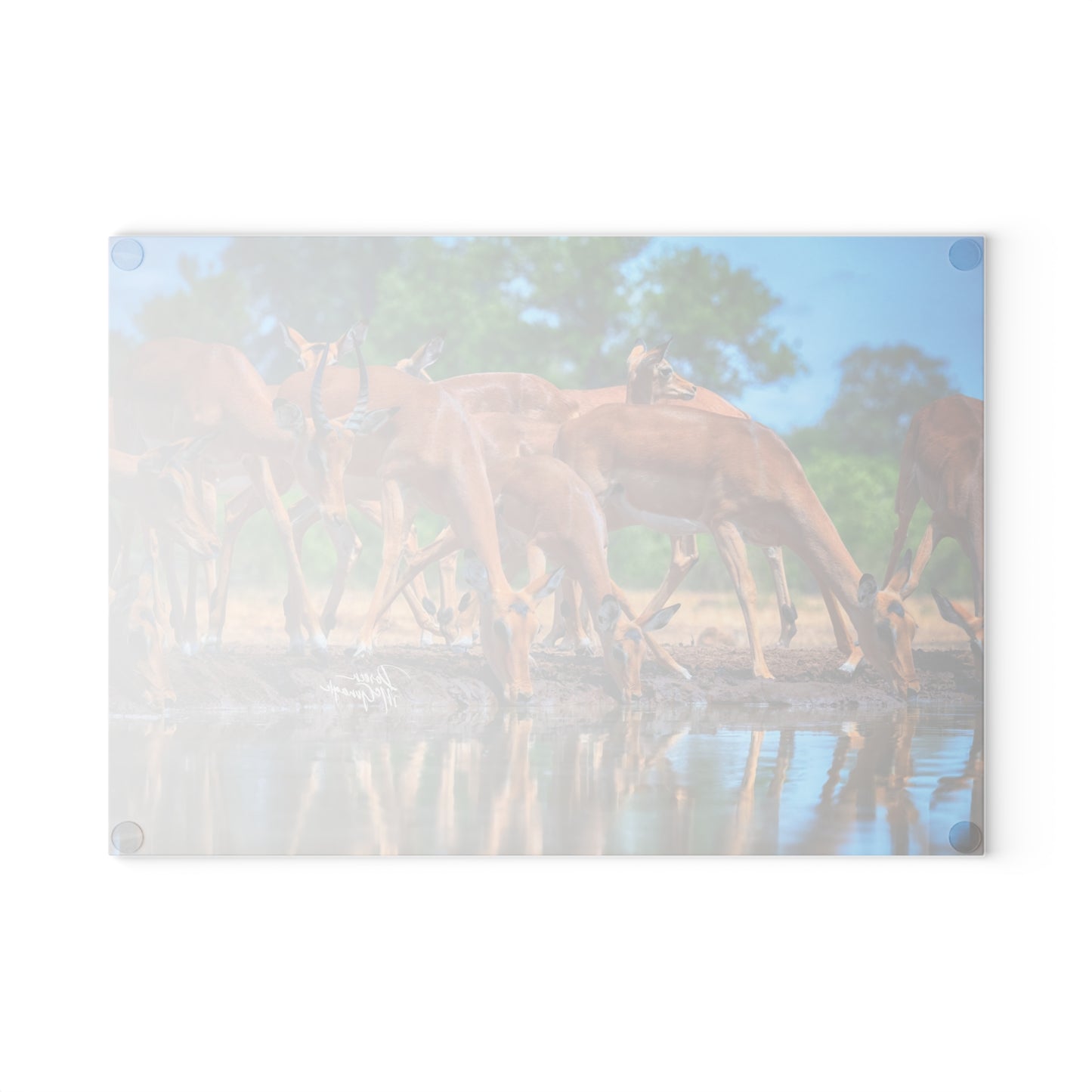 Enjoy Nature Glass Charcuterie Cutting Board with African Antelope at Watering Hole Design