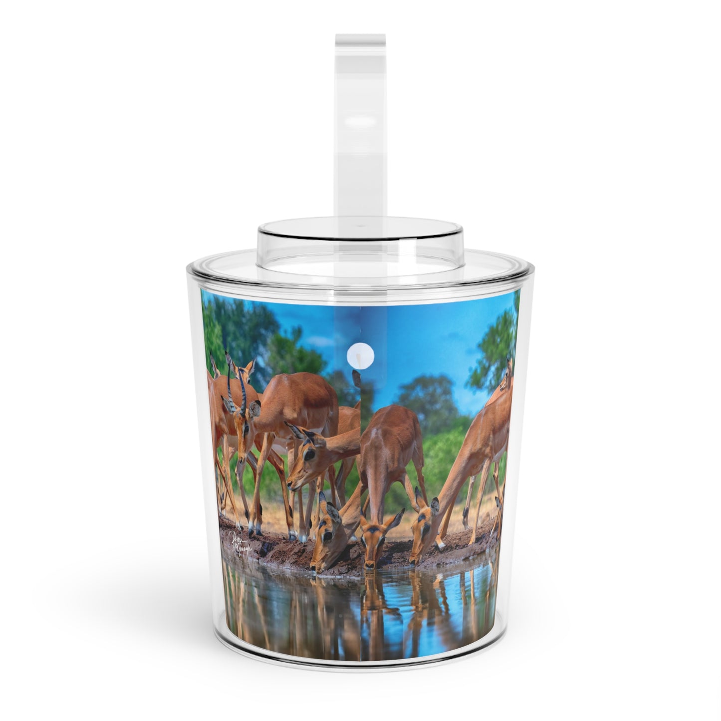 Enjoy Nature African Antelope at Watering Hole Insulated Ice Bucket