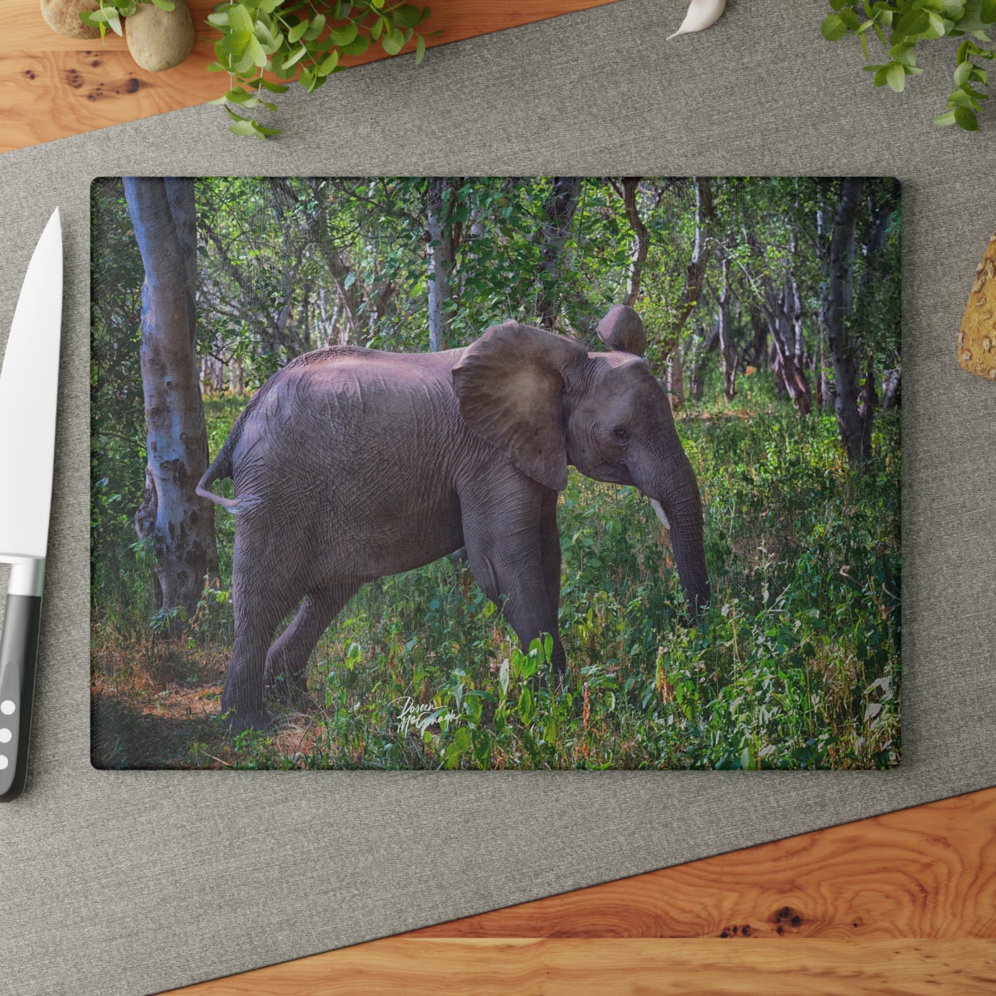 Enjoy Nature Glass Charcuterie Cutting Board with Elephant Baby in Forest Design