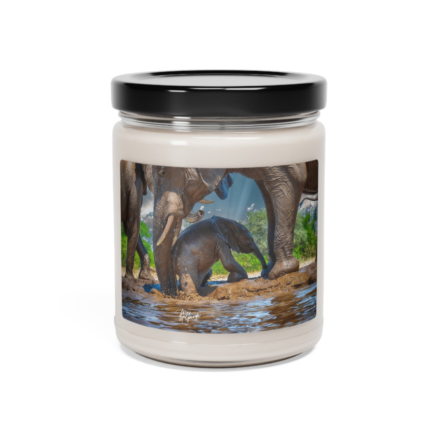 Experience the Pure Essence of Nature with the Baby Elephant Walk Scented Soy Candle by Enjoy Nature