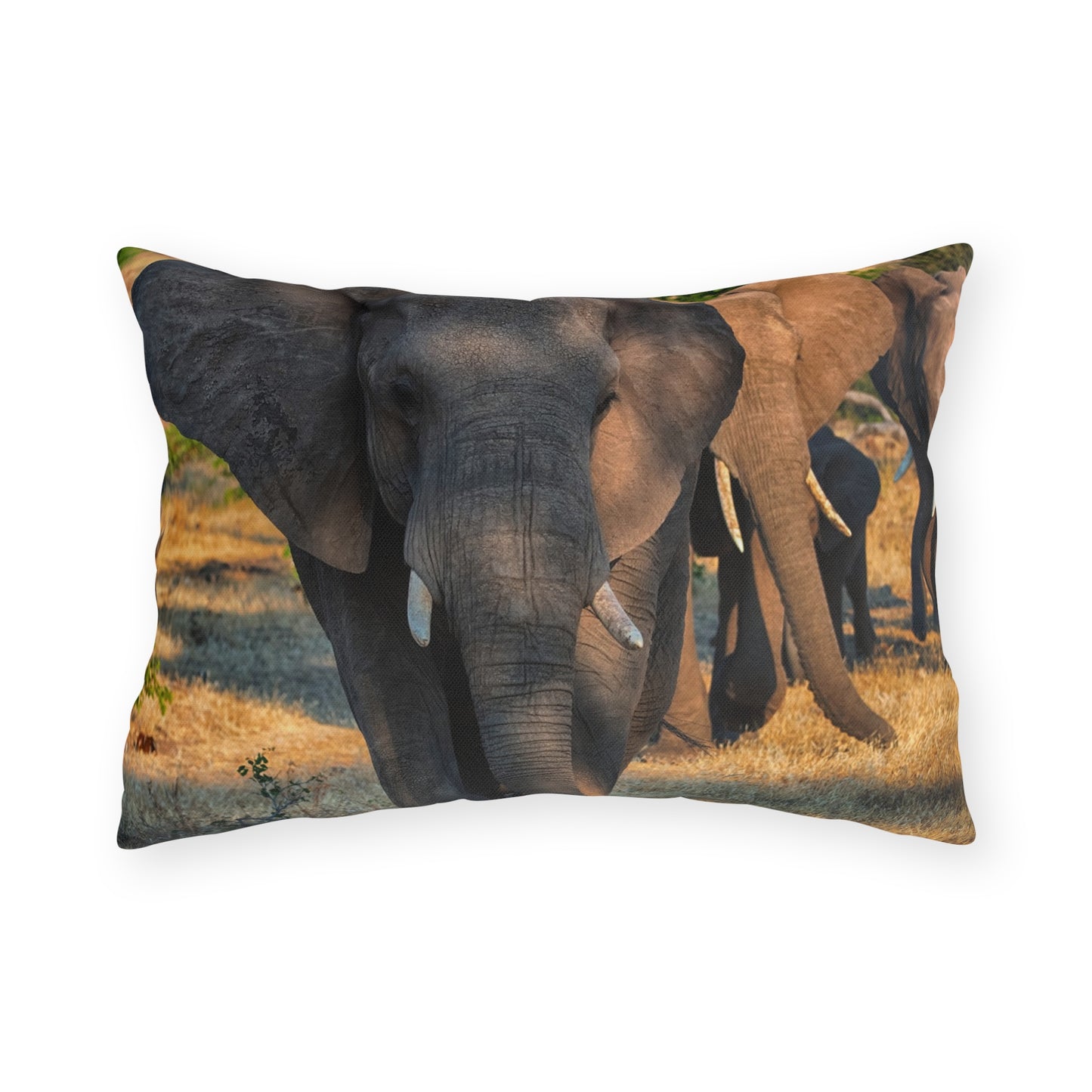 Enjoy Nature Outdoor Pillow with Elephant Family – Artistic, Comfy, and Durable Decorative Accent