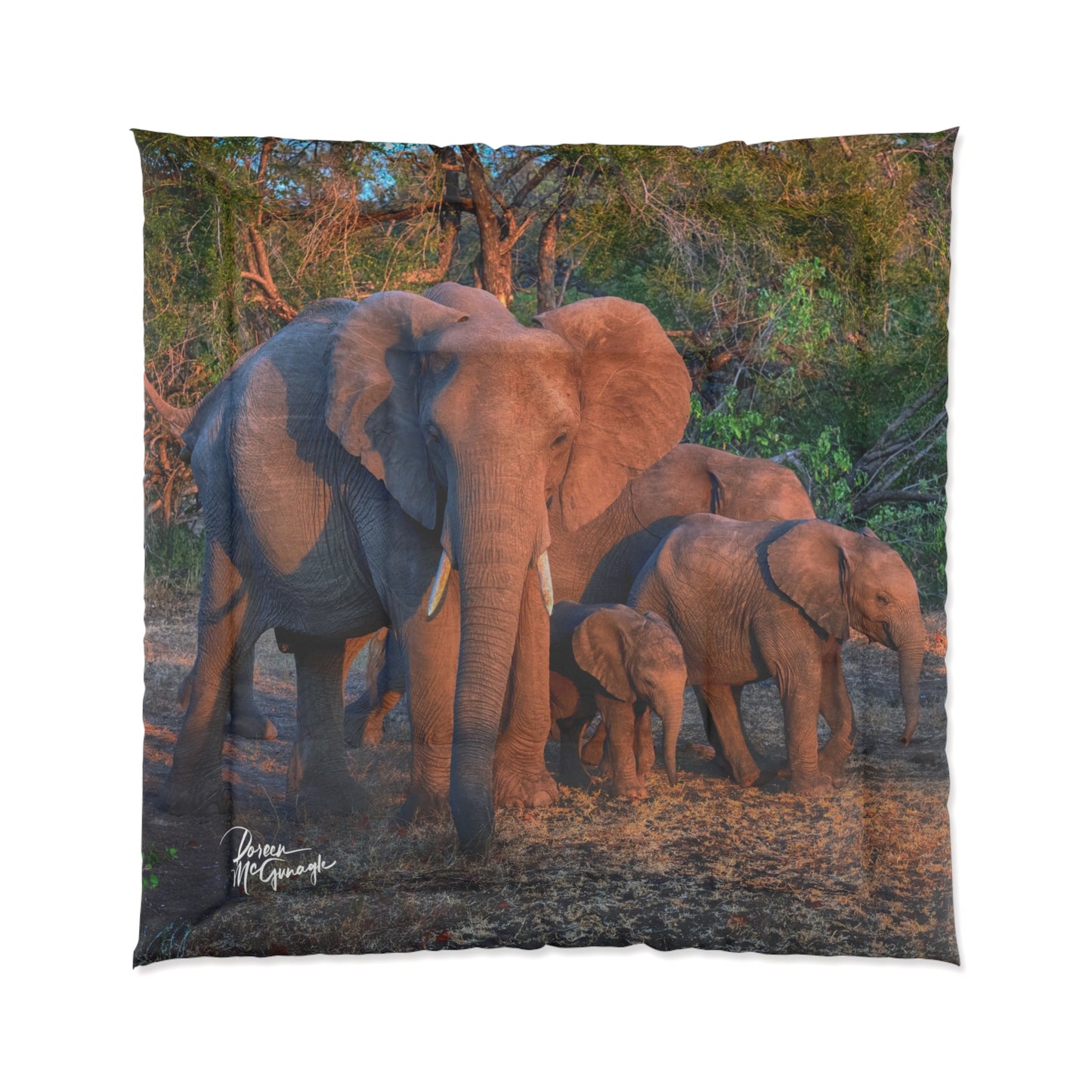 Elephant Family Walking Comforter by Enjoy Nature