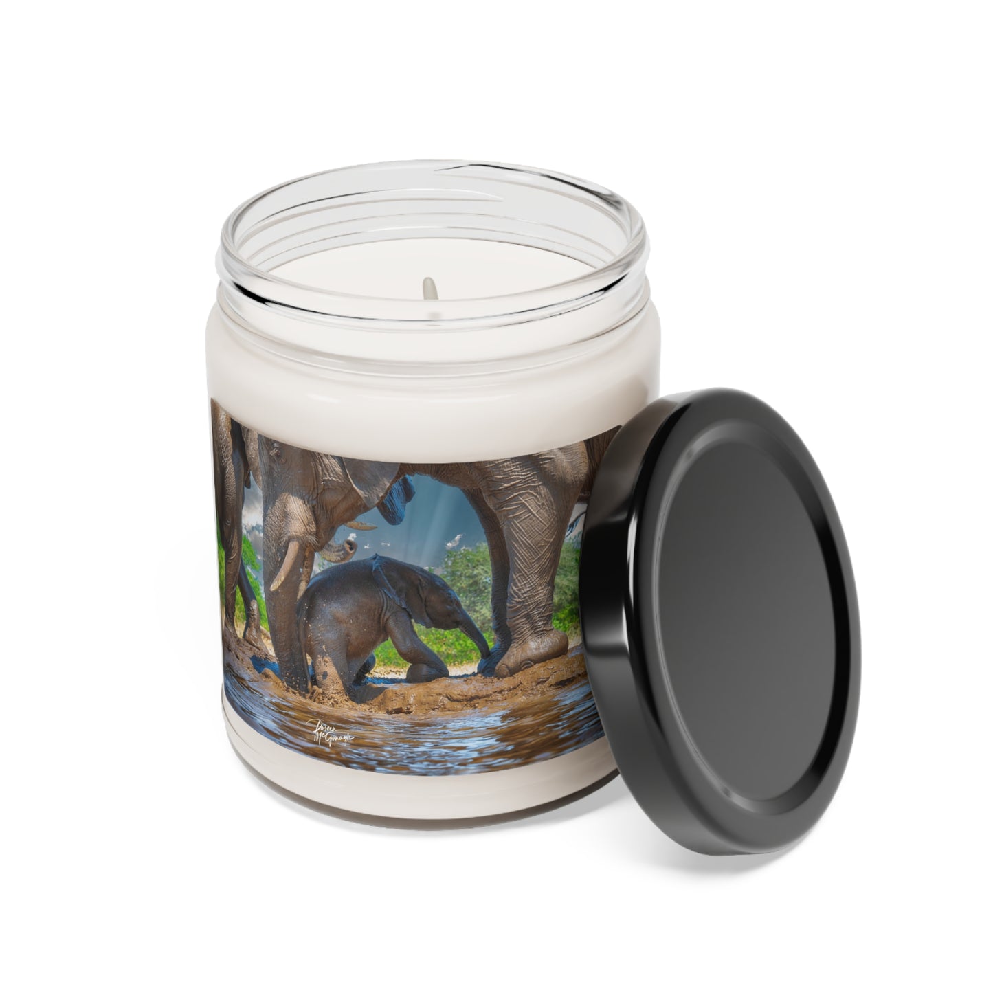 Experience the Pure Essence of Nature with the Baby Elephant Walk Scented Soy Candle by Enjoy Nature