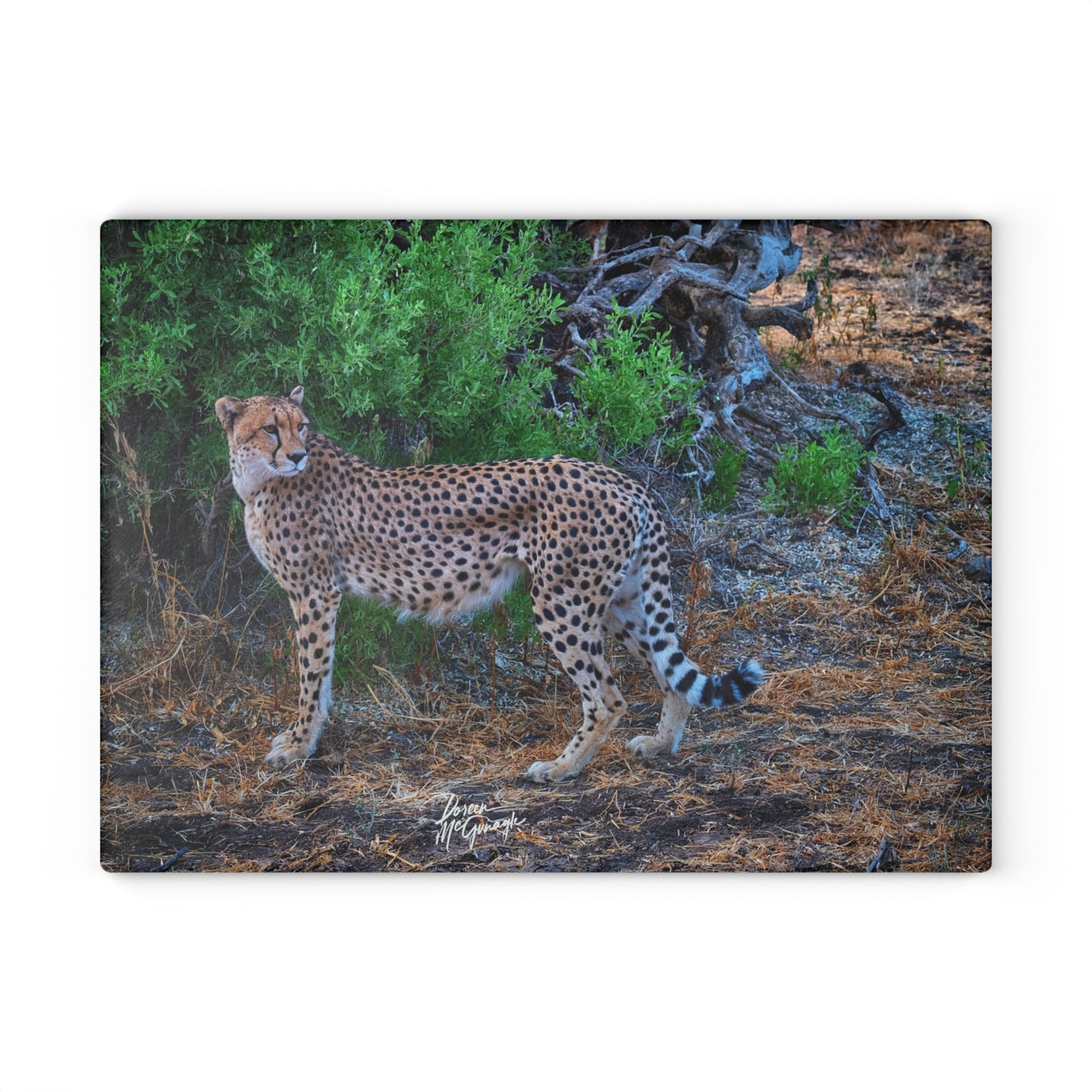 Enjoy Nature Glass Charcuterie Cutting Board with Cheetah Stand Design