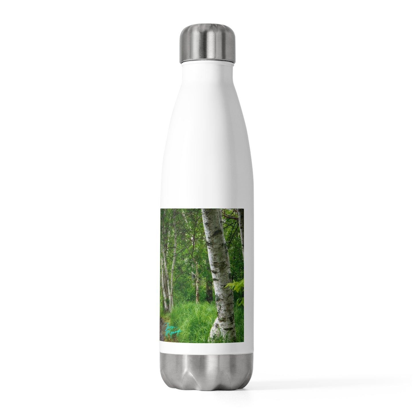 Eco friendly water bottle, Silver Birch Path, 20oz Insulated Bottle