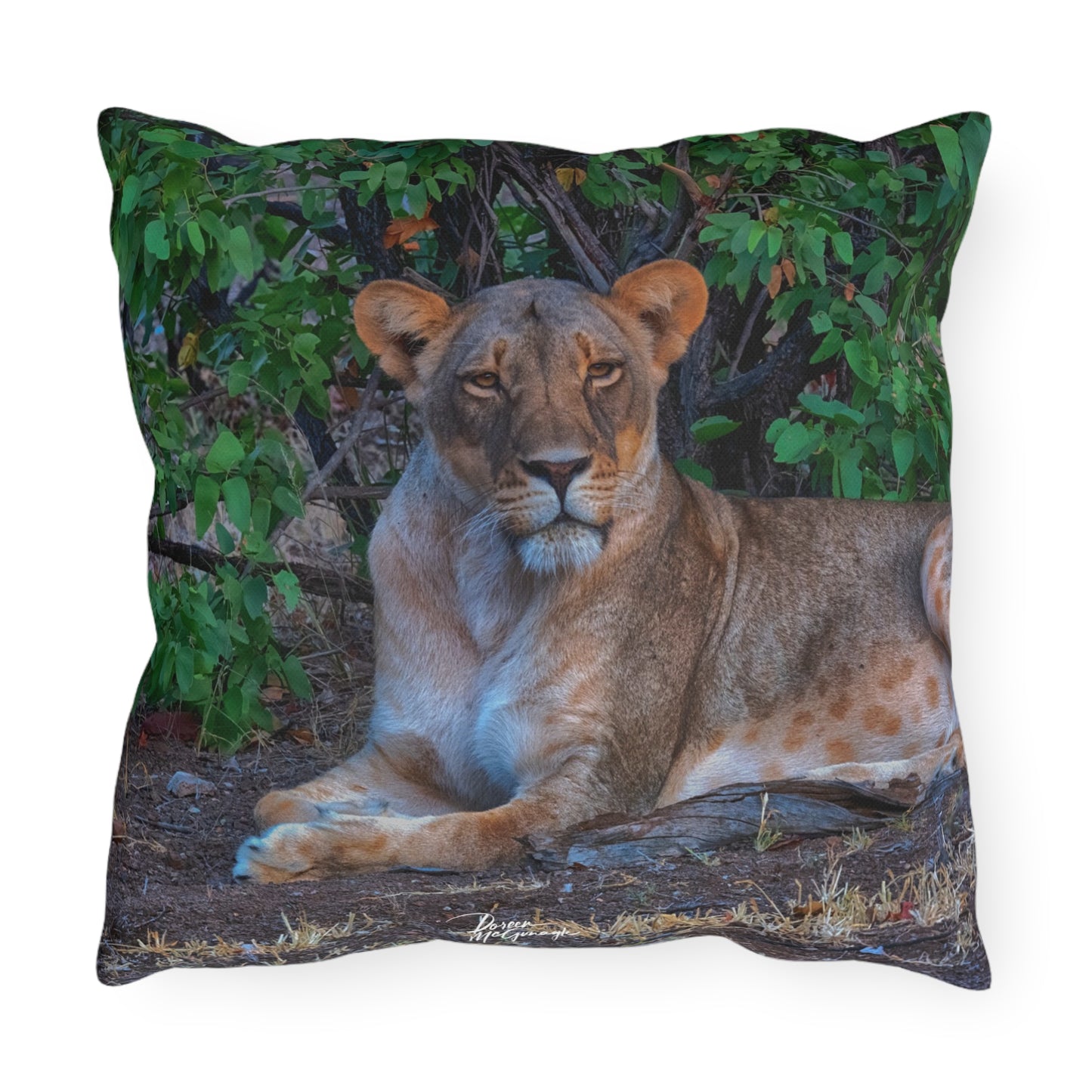 Enjoy Nature Outdoor Pillow with Dreaming About a Lioness – Artistic, Comfy, and Durable Decorative Accent