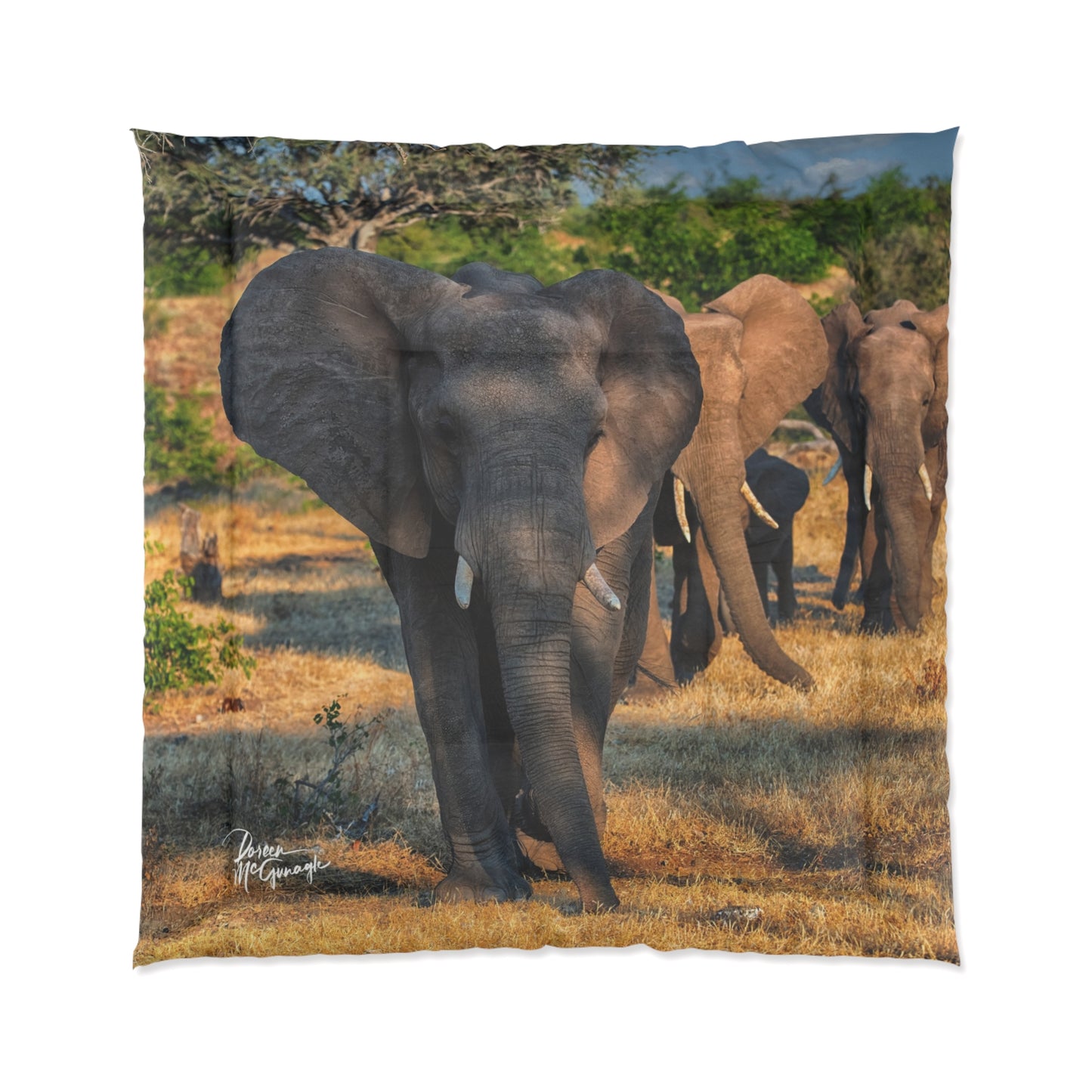 Elephant Family Walking Comforter by Enjoy Nature